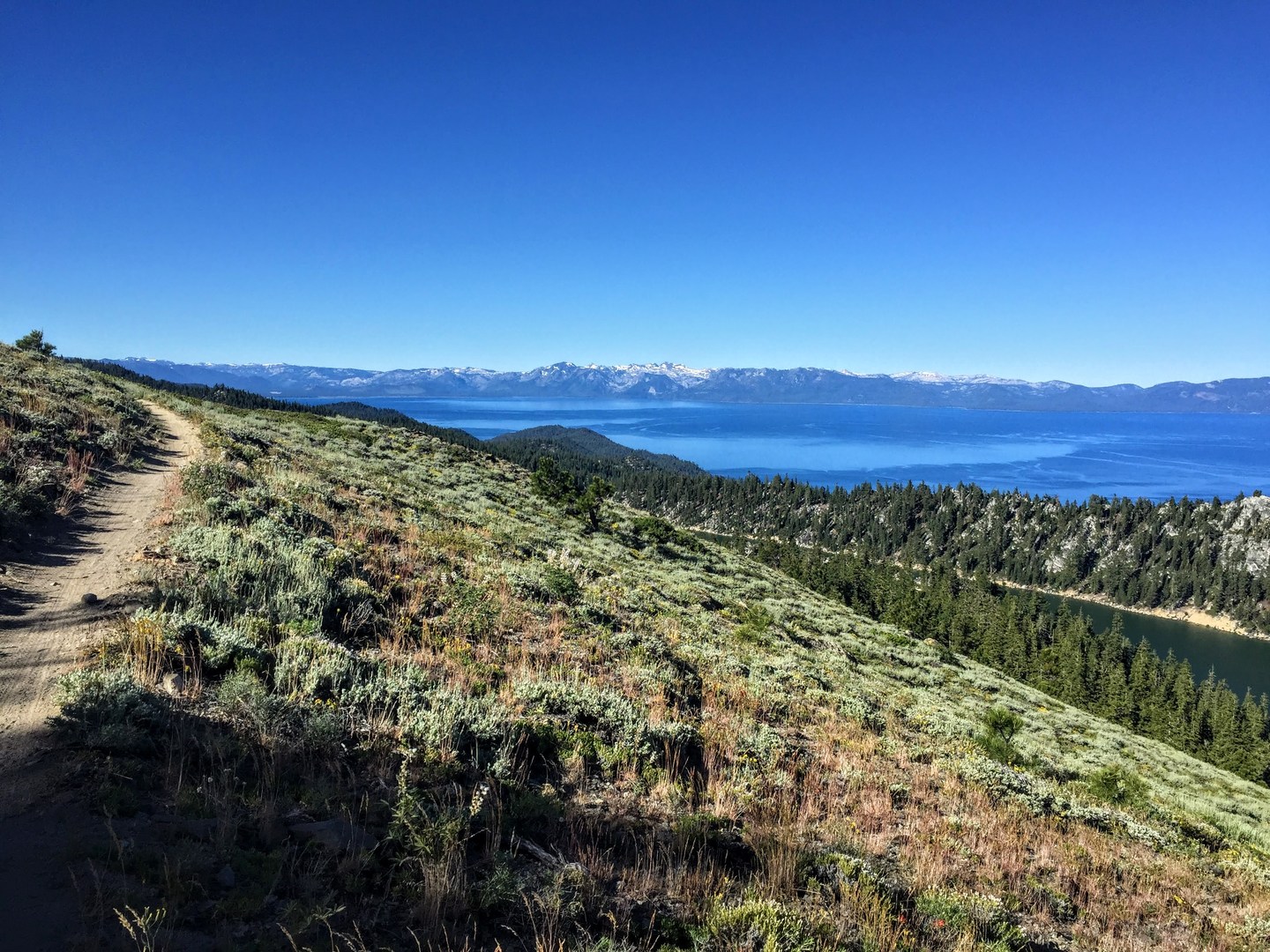 Tahoe Rim Trail | Outdoor Project