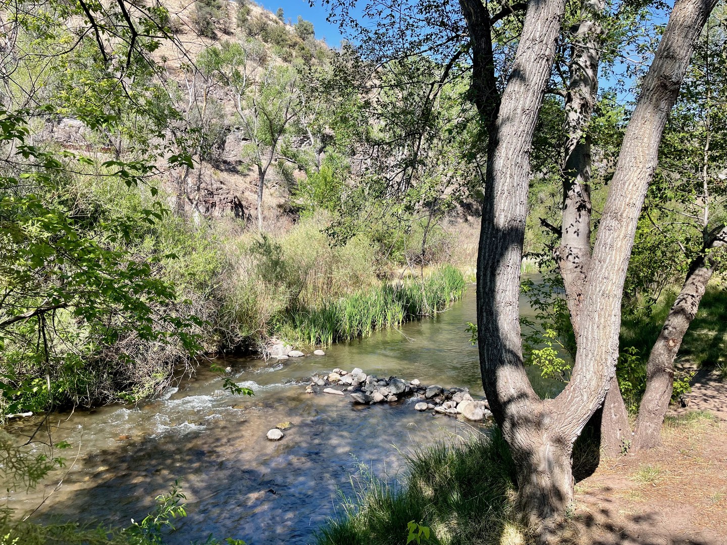 Grapevine Campground | Outdoor Project