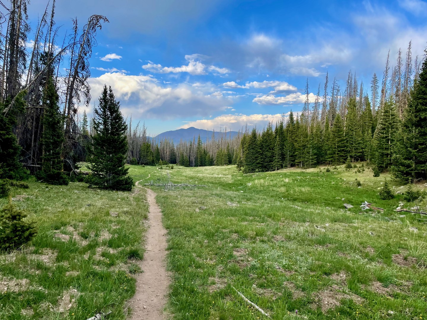 Continental Divide Trail: Colorado Section 17 | Outdoor Project