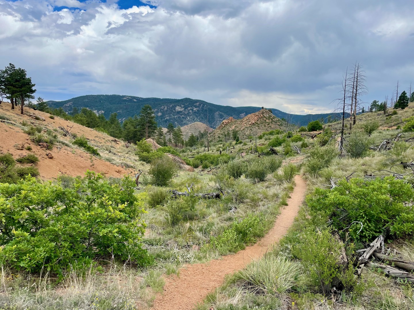 Colorado Trail Segment 2 Outdoor Project   Img 2018 