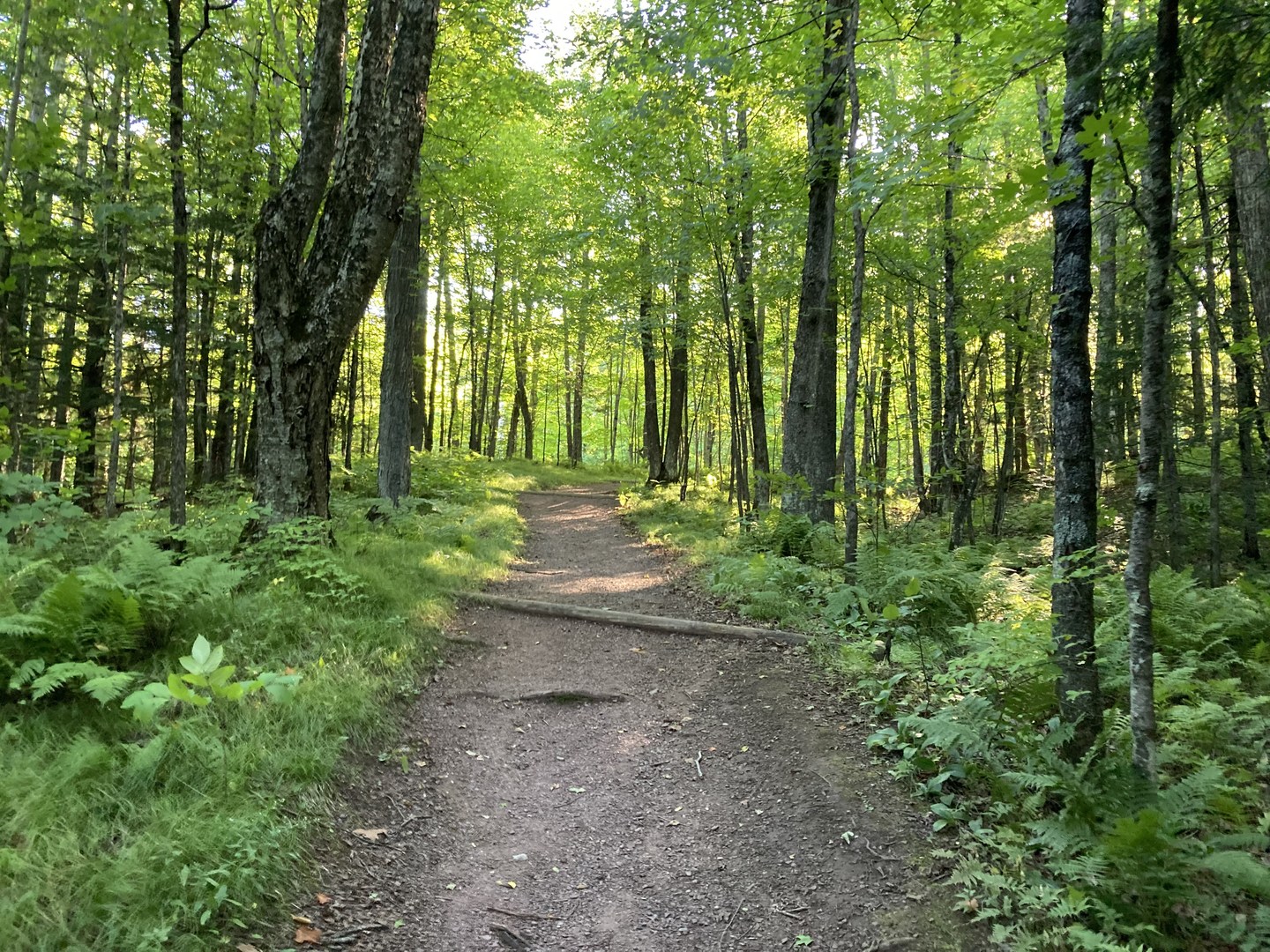 Red Granite Falls Trail Outdoor Project