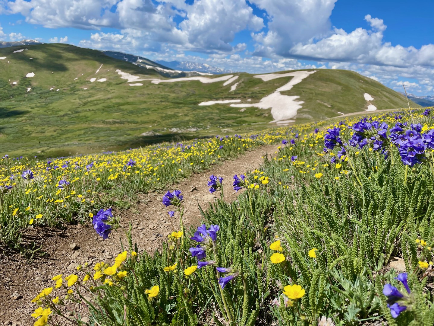 Continental Divide Trail: Colorado Section 26 | Outdoor Project