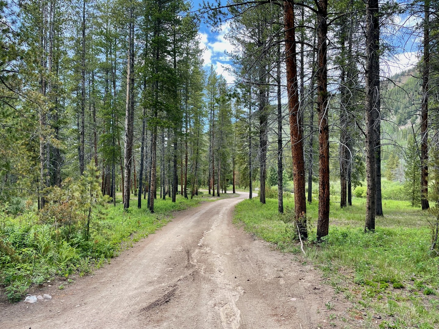 Camp Hale East Fork Group Campground Outdoor Project