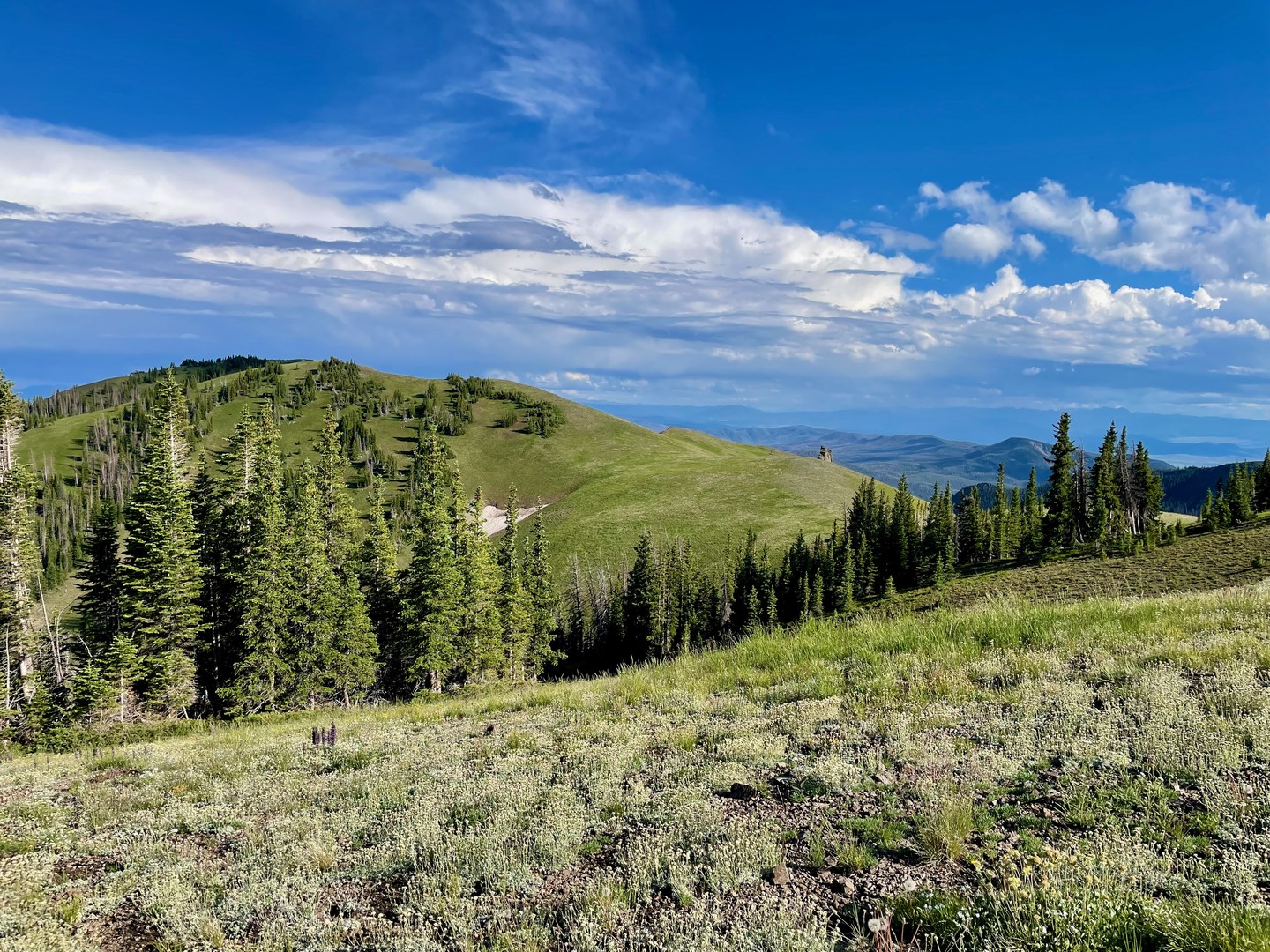 continental-divide-trail-colorado-section-39-outdoor-project