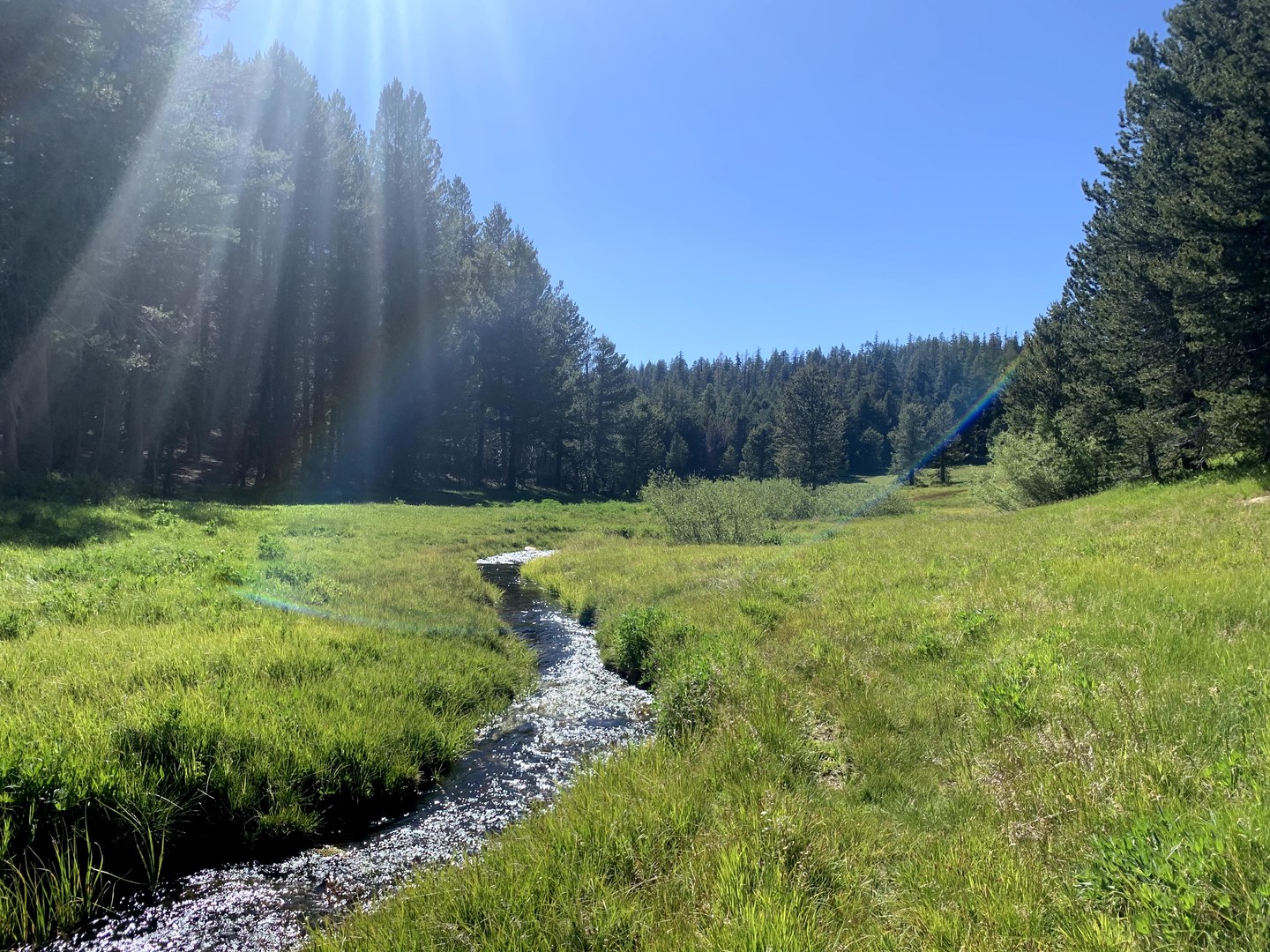 Golden Trout Wilderness Loop | Outdoor Project