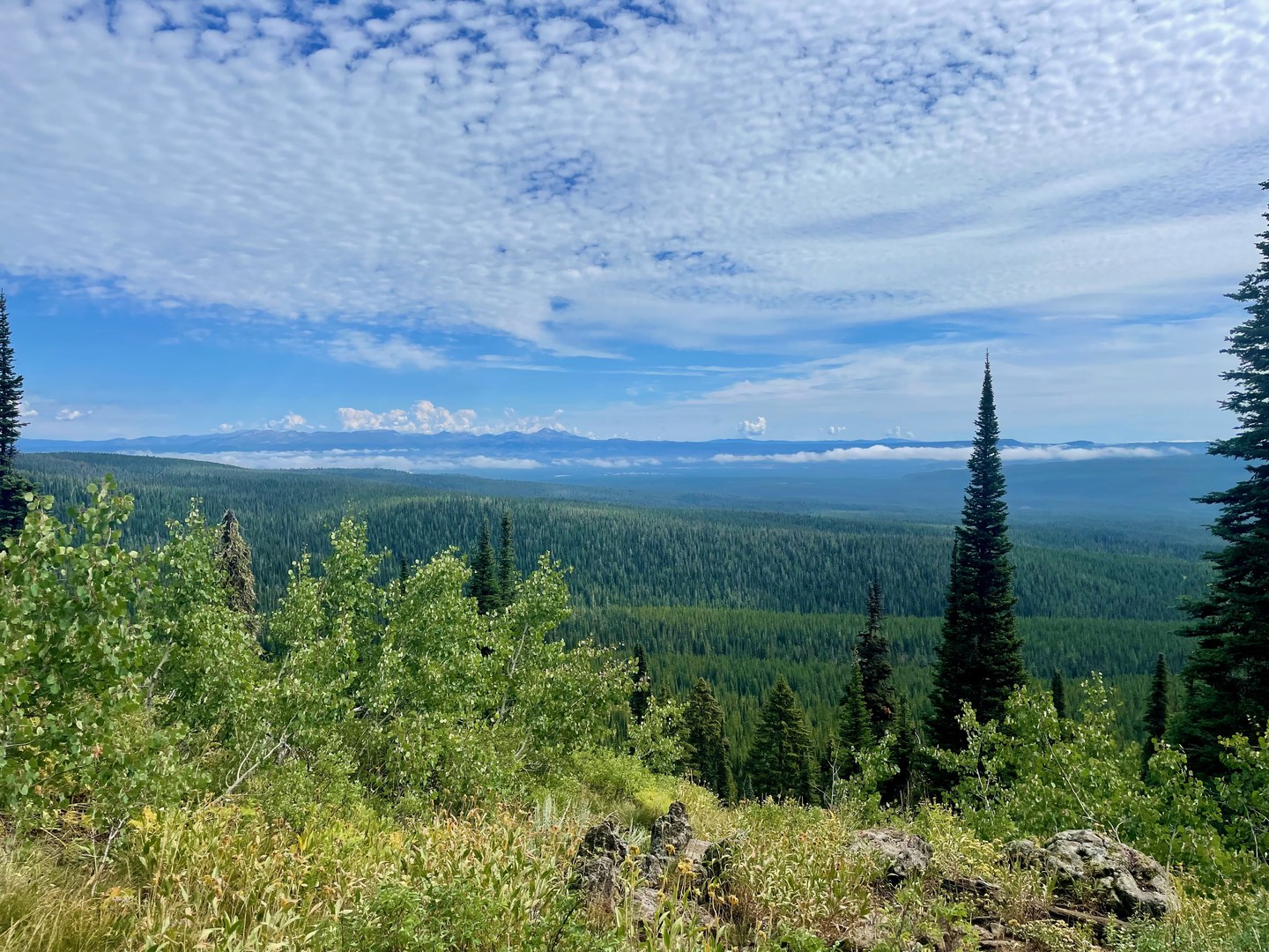 continental-divide-trail-montana-idaho-section-1-outdoor-project