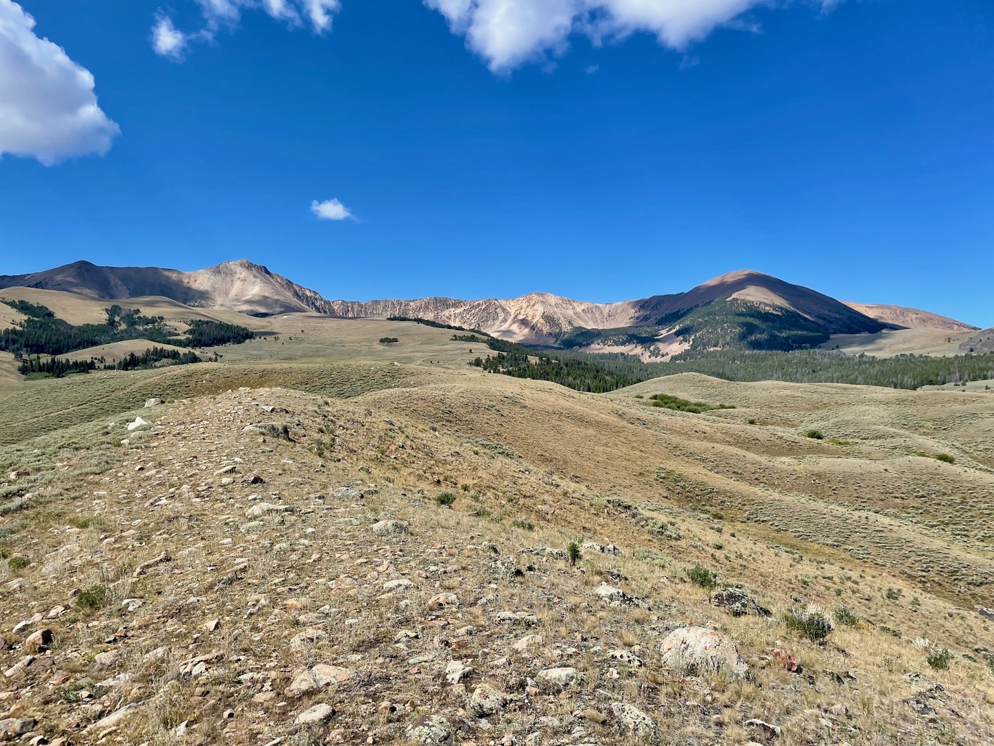 continental-divide-trail-montana-idaho-section-6-outdoor-project