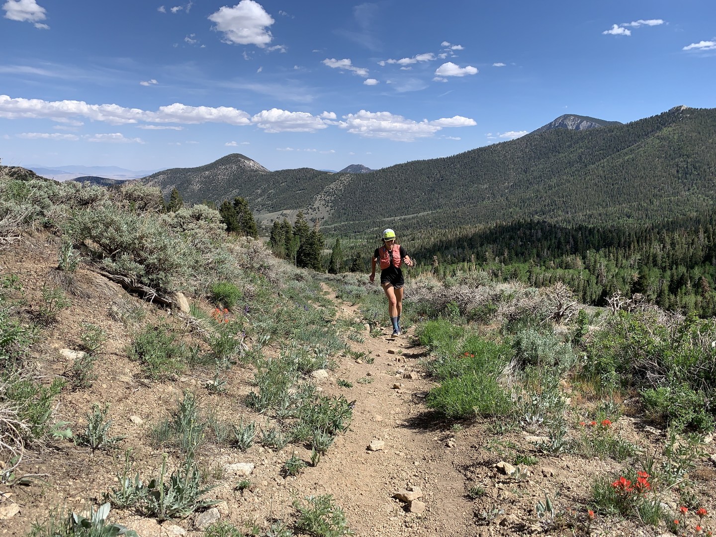 Snake Creek Trailhead to Baker Lake | Outdoor Project