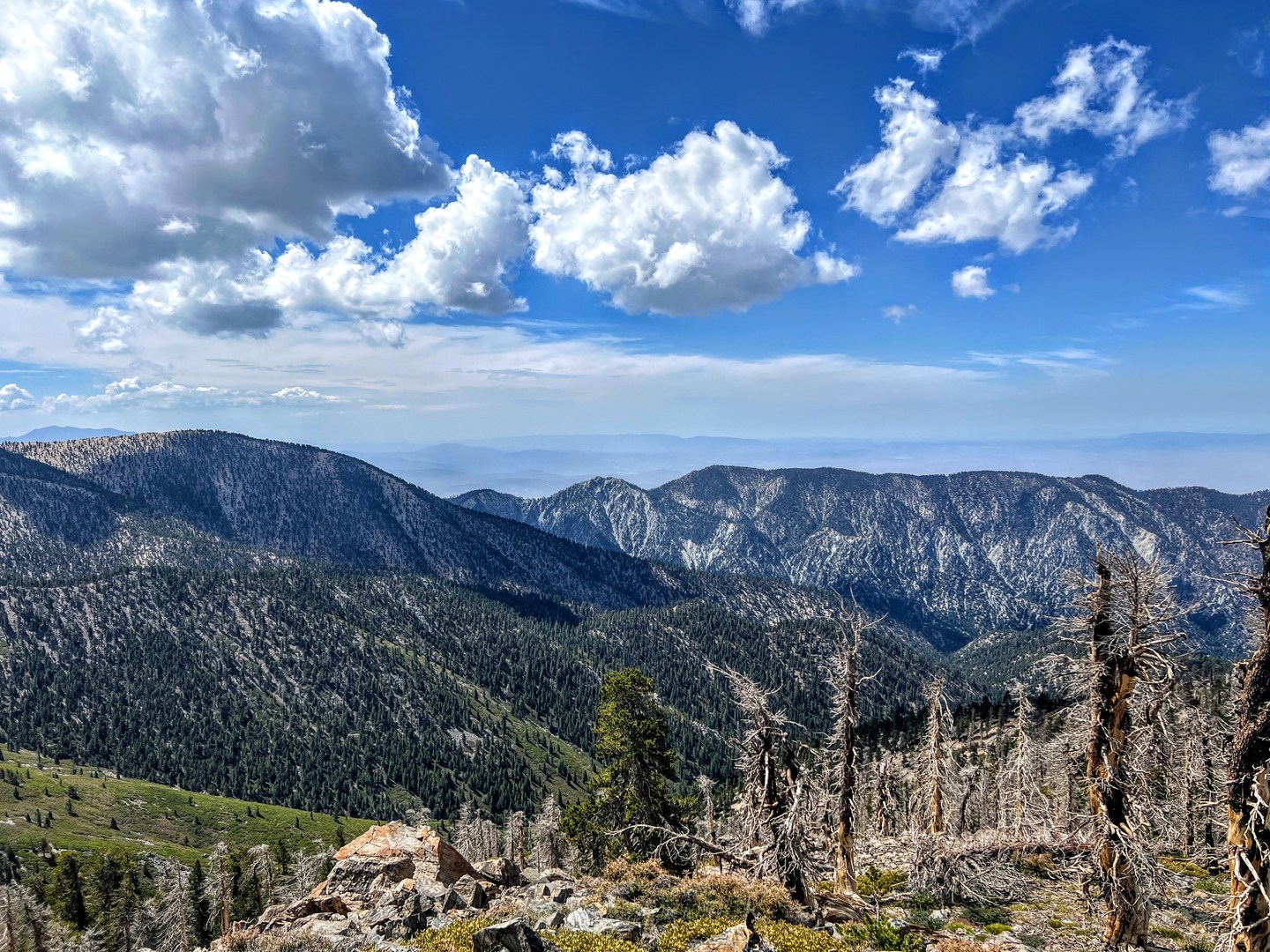 San Gorgonio Wilderness | Outdoor Project