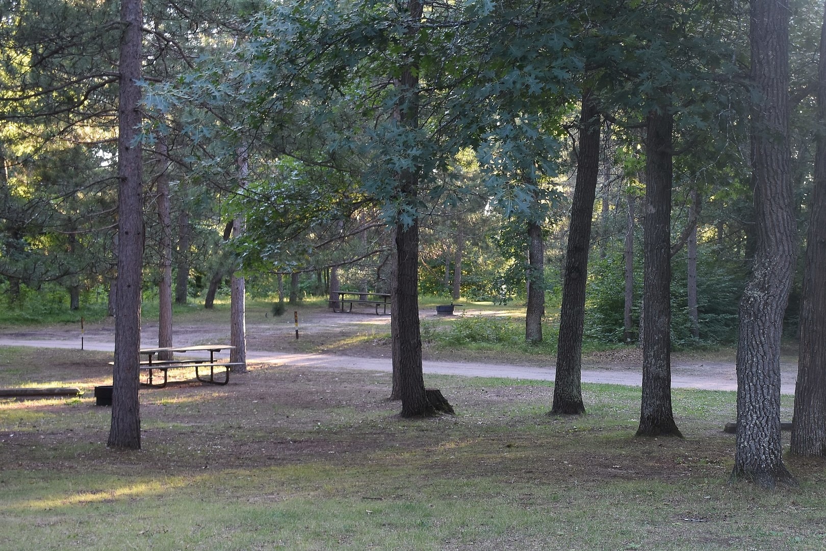 Crow Wing State Park Campground Outdoor Project   Dsc 9243 