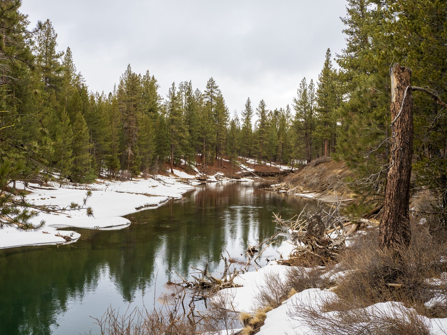 Cougar Woods Loop | Outdoor Project