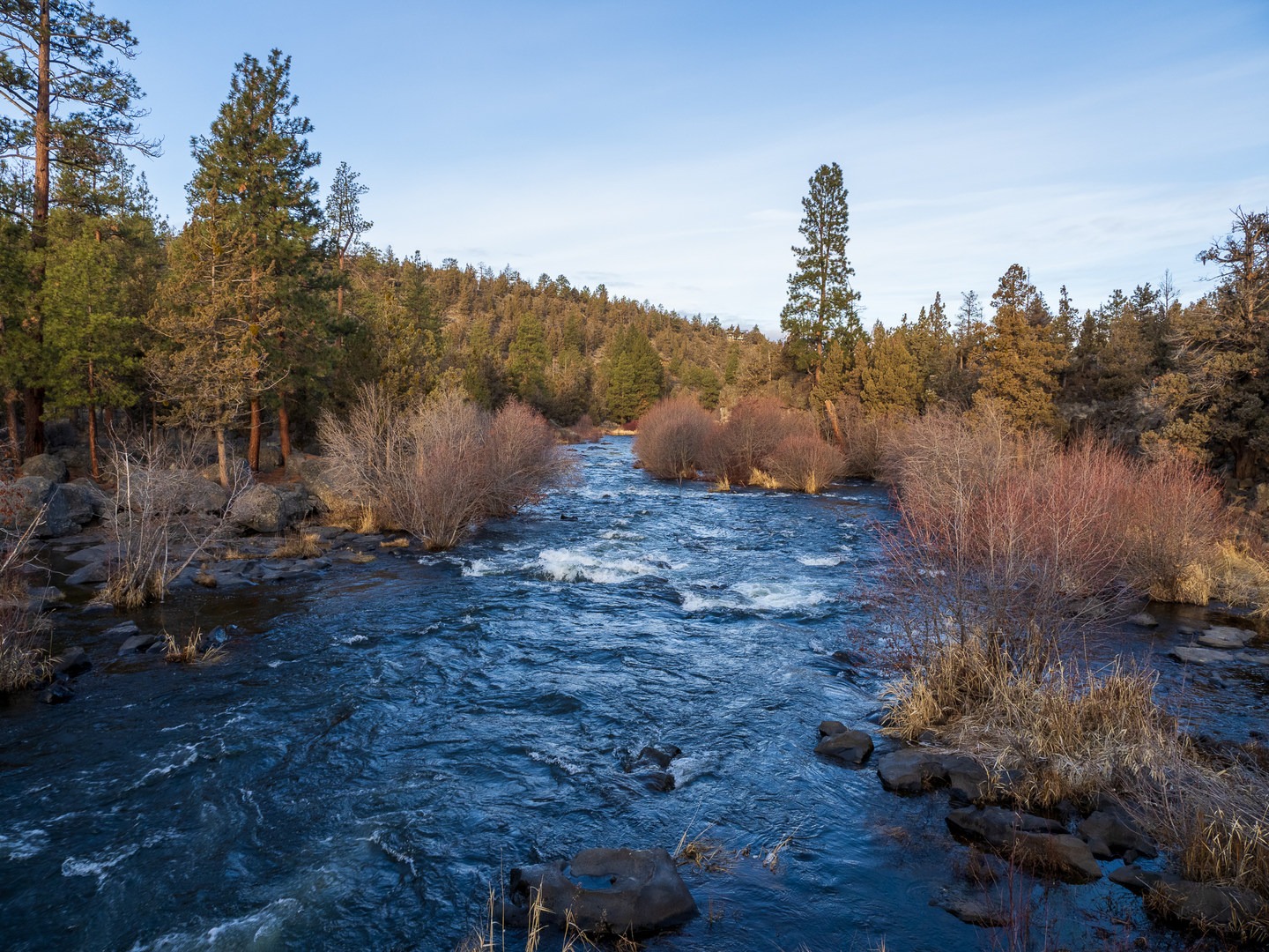 Sawyer Park to Sawyer Uplands Hike | Outdoor Project