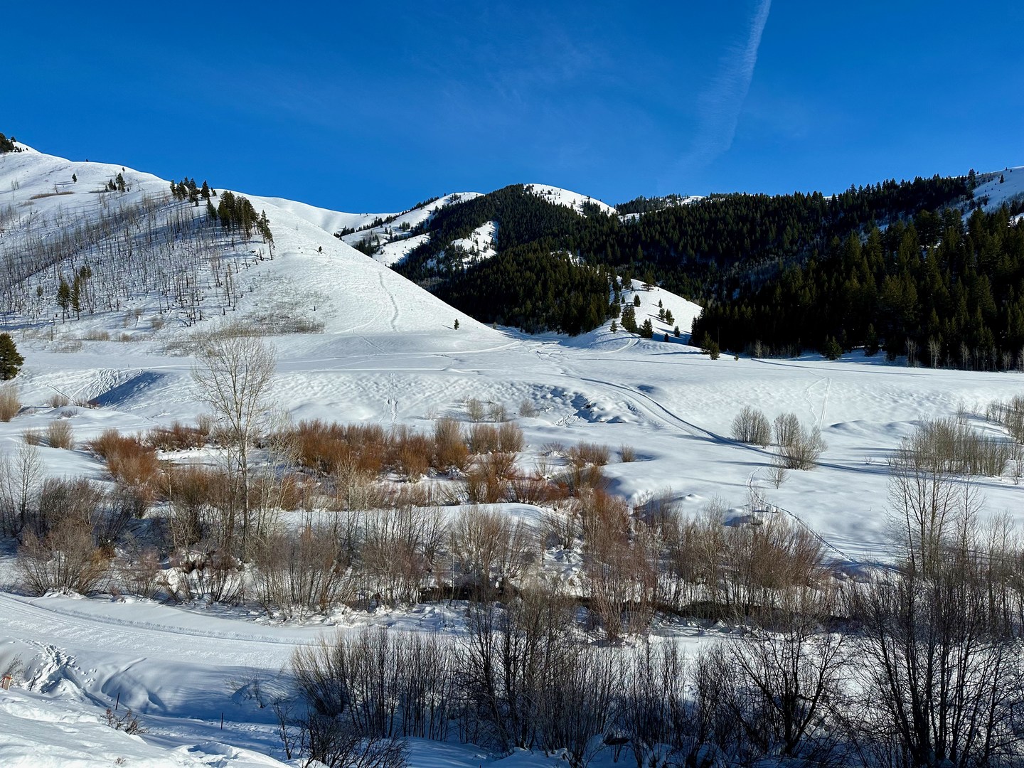 Trail Creek Road Outdoor Project