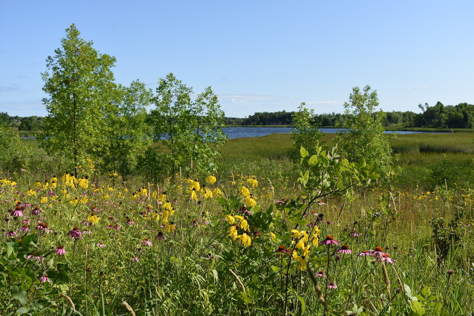 Wetland Overlook Trail | Outdoor Project