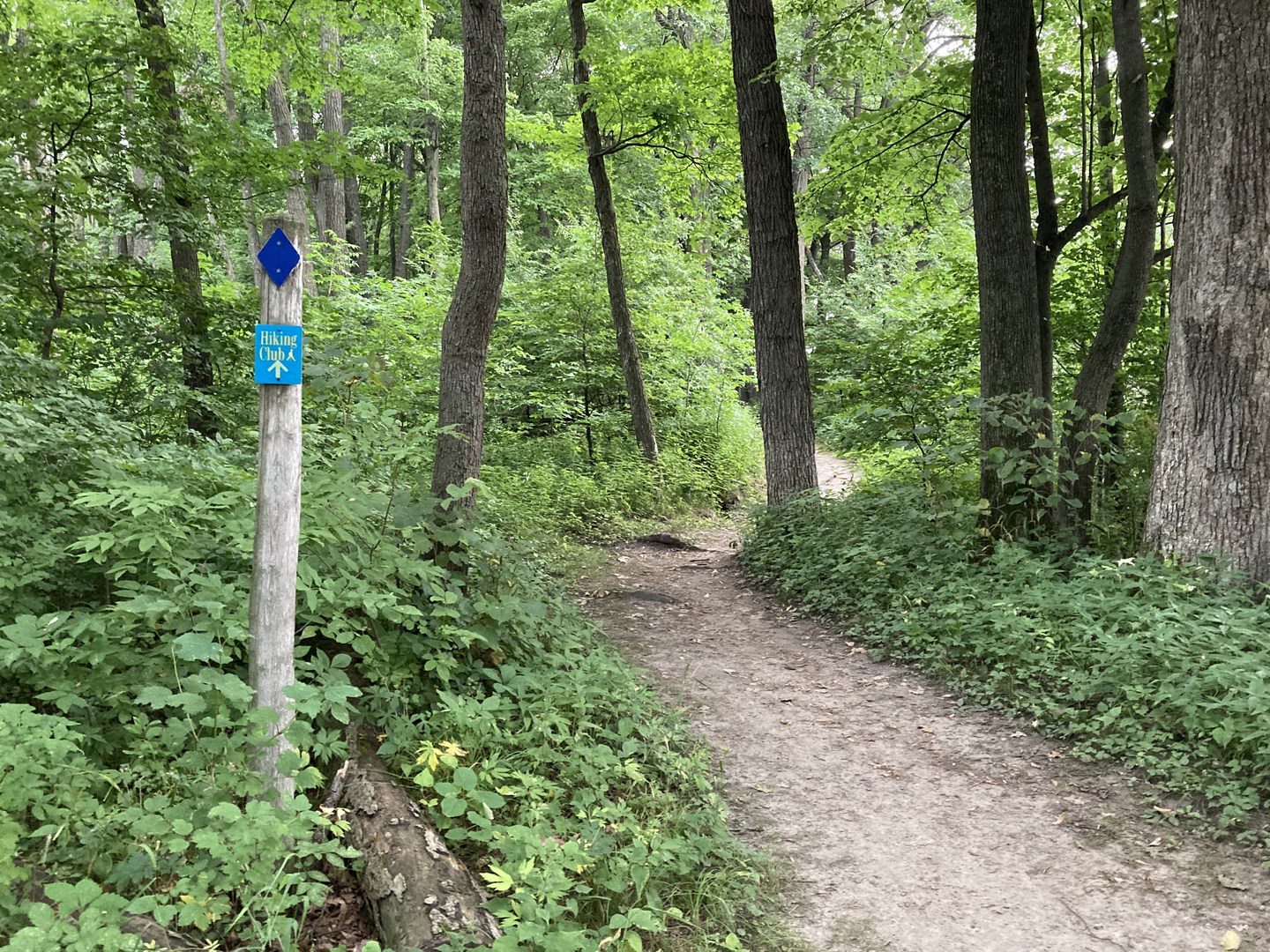 Hiking Club Trail | Outdoor Project