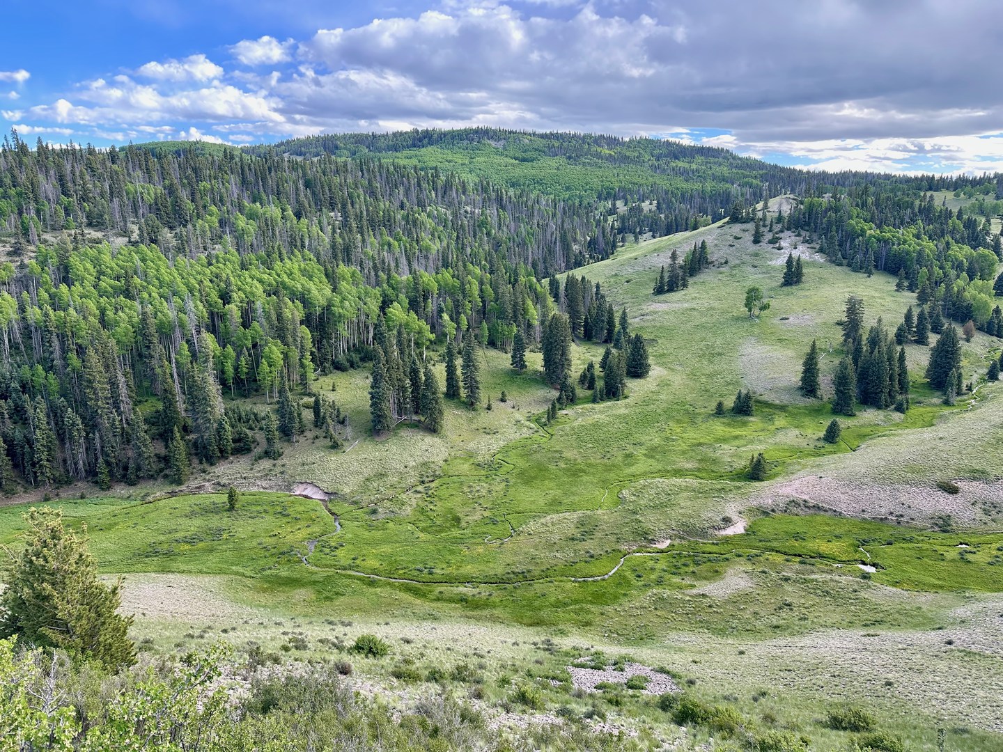 continental-divide-trail-new-mexico-section-30-outdoor-project