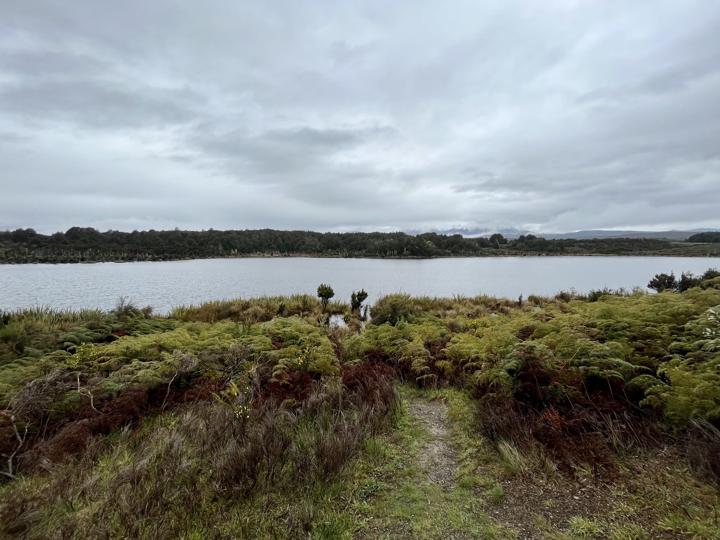 Lake Mistletoe Track | Outdoor Project