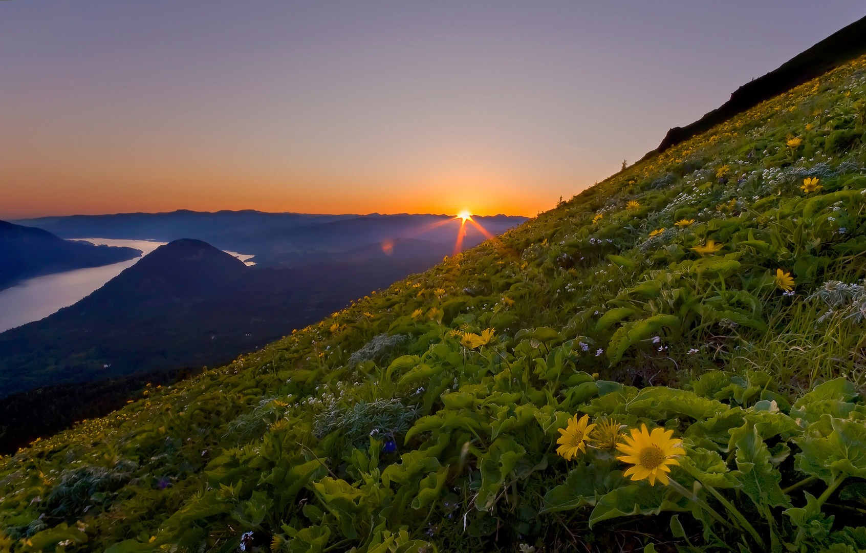 how do i get to dog mountain hike