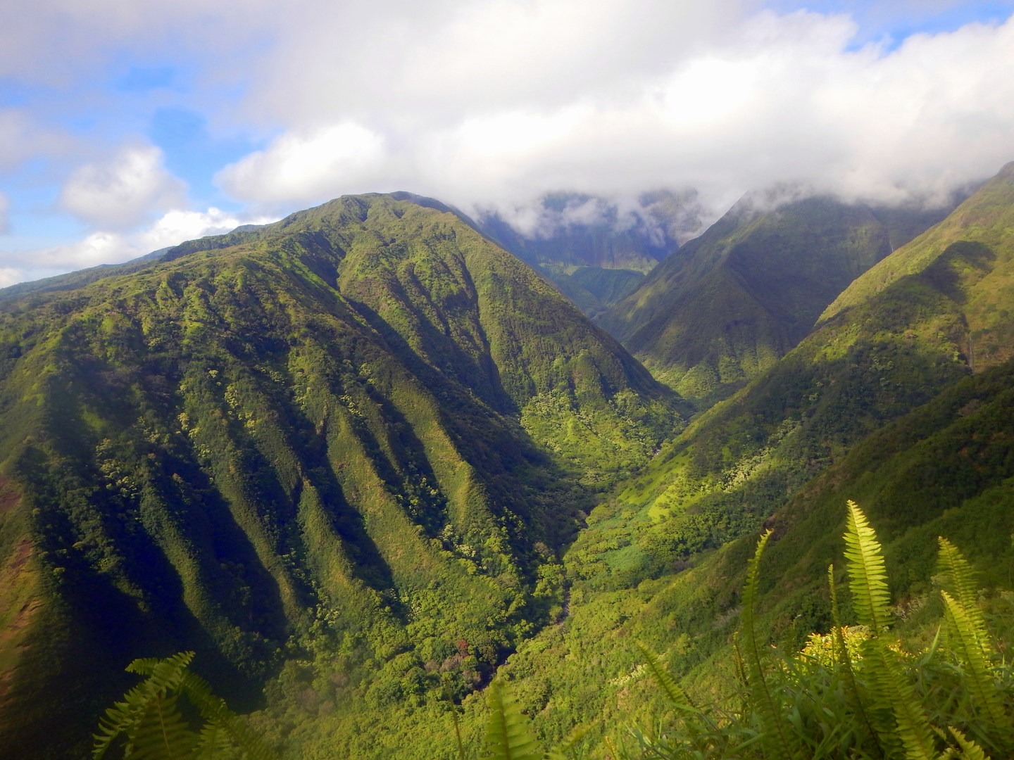 Waihe'e Ridge | Outdoor Project