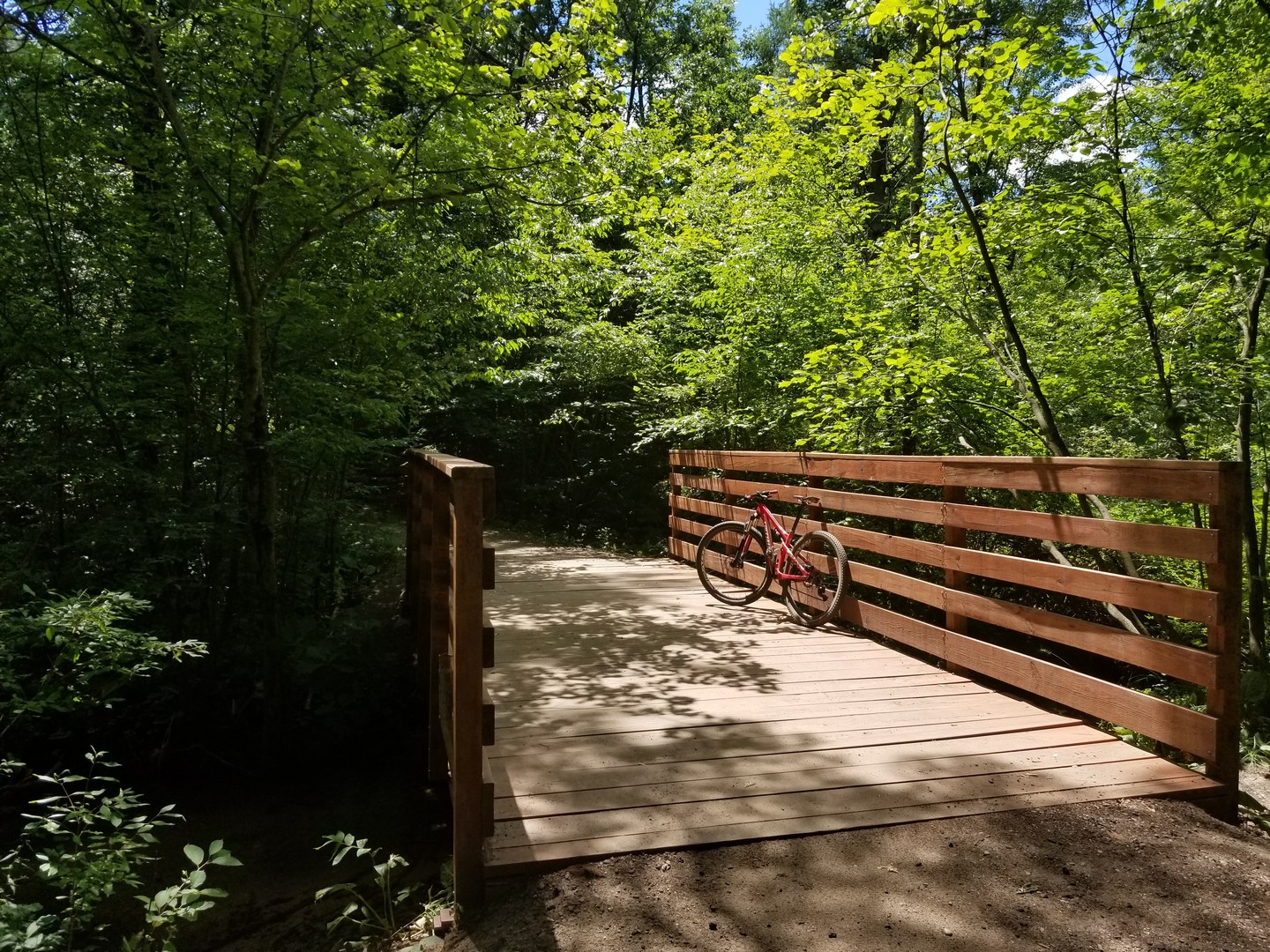 Luton park mountain bike trail hotsell