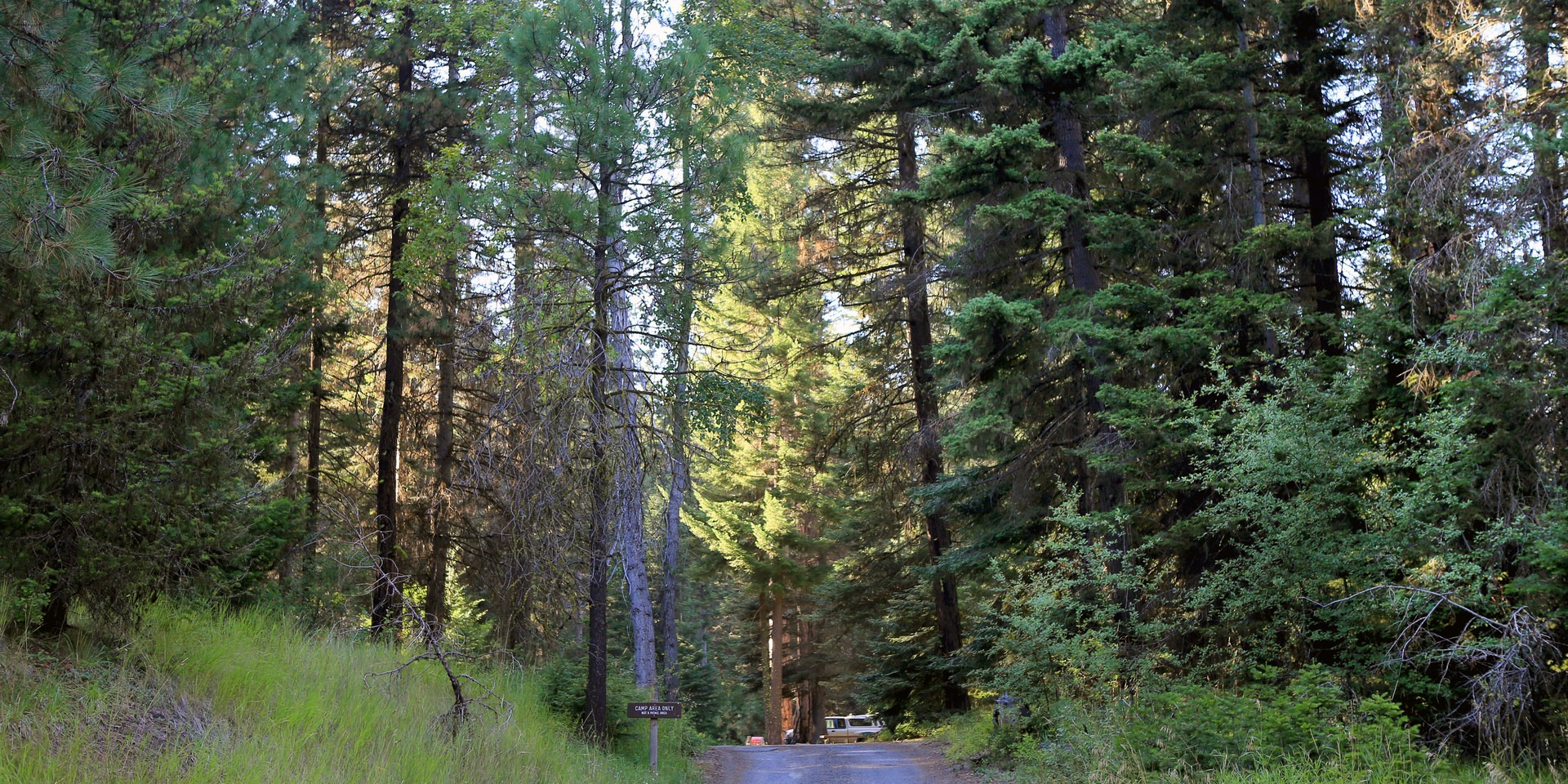 Mineral Springs Campground Outdoor Project   3 3 