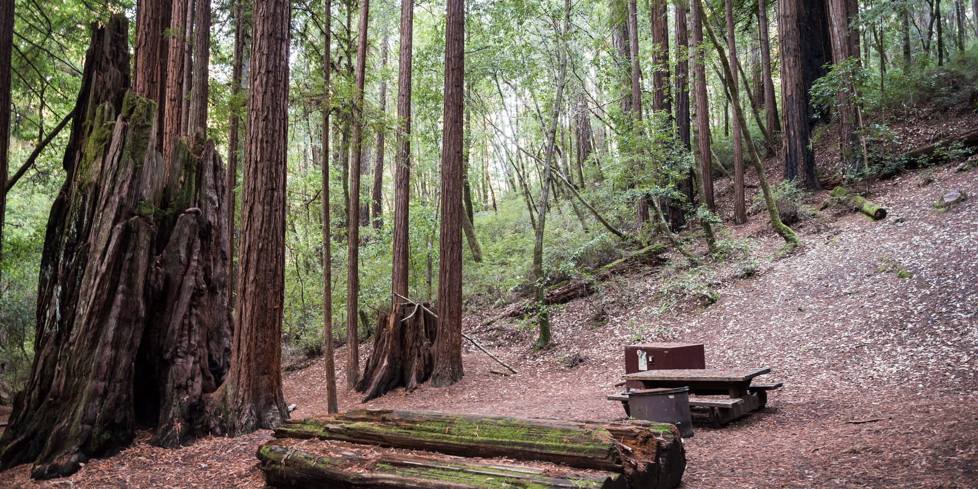 Wastahi Campground Outdoor Project
