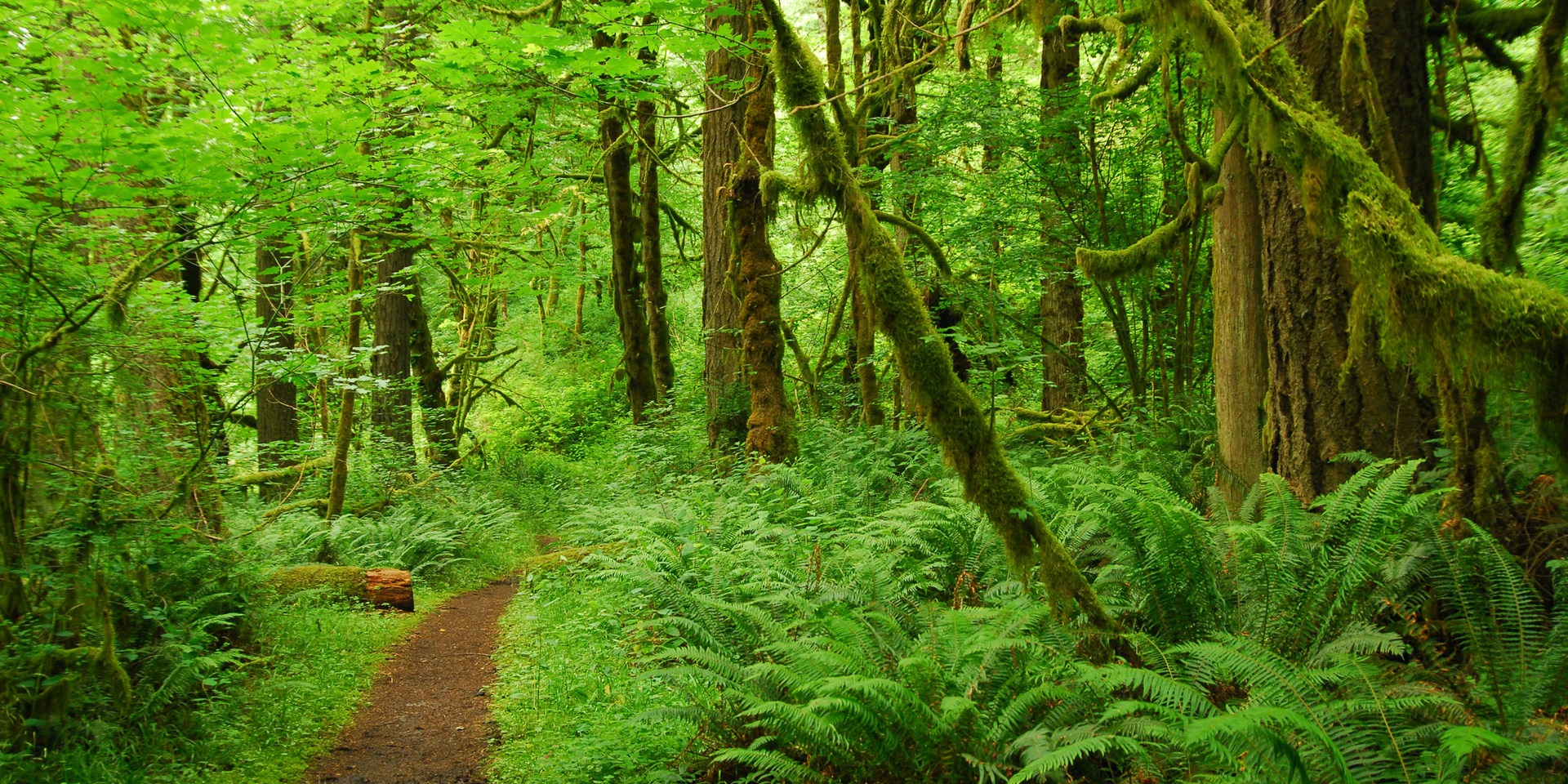 Oxbow Nature Trail | Outdoor Project