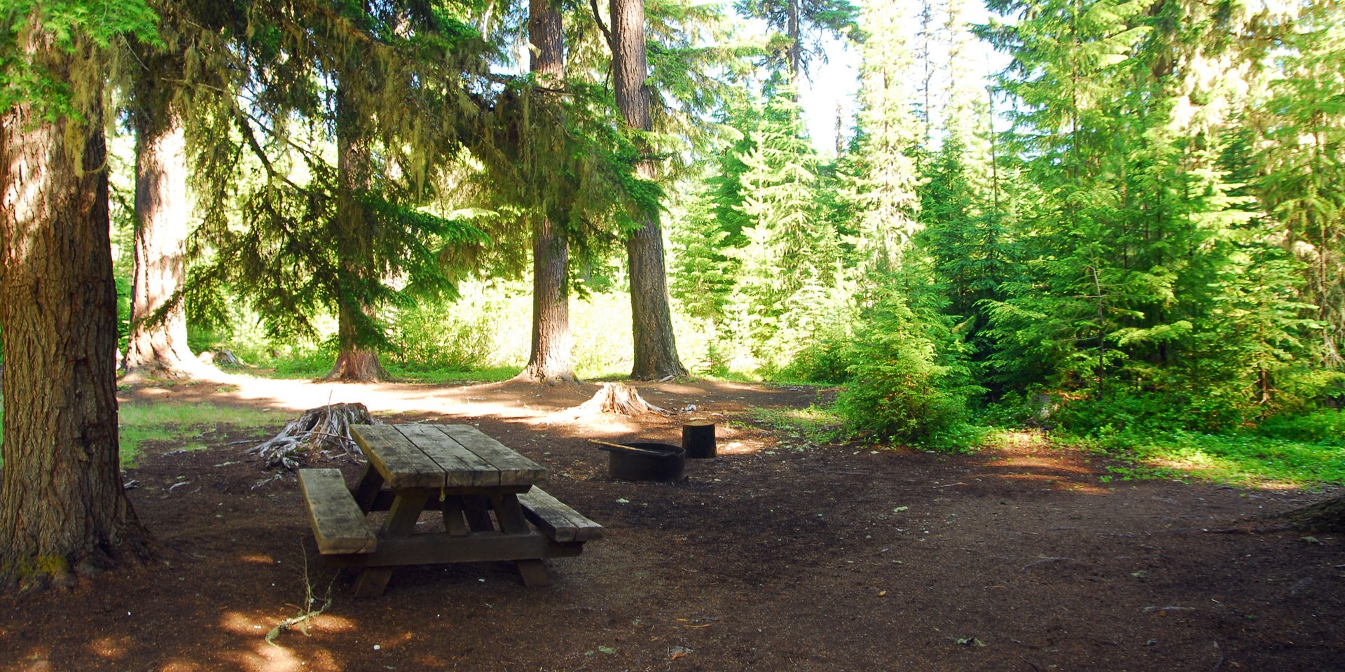 Clackamas Lake Campground Outdoor Project