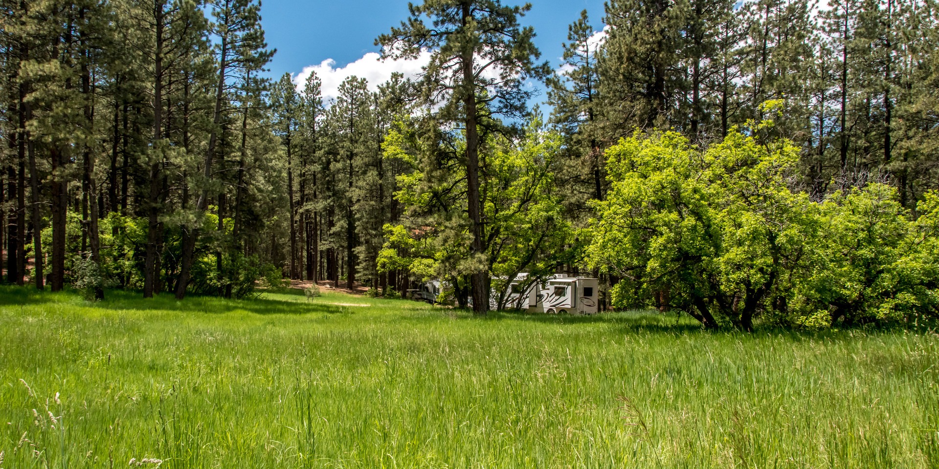 Junction Creek Campground Map