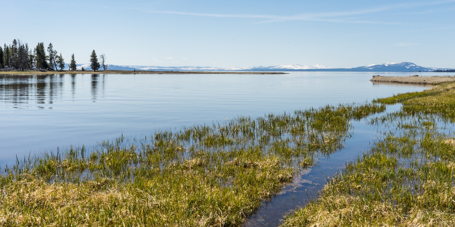 Pelican creek shop trail yellowstone