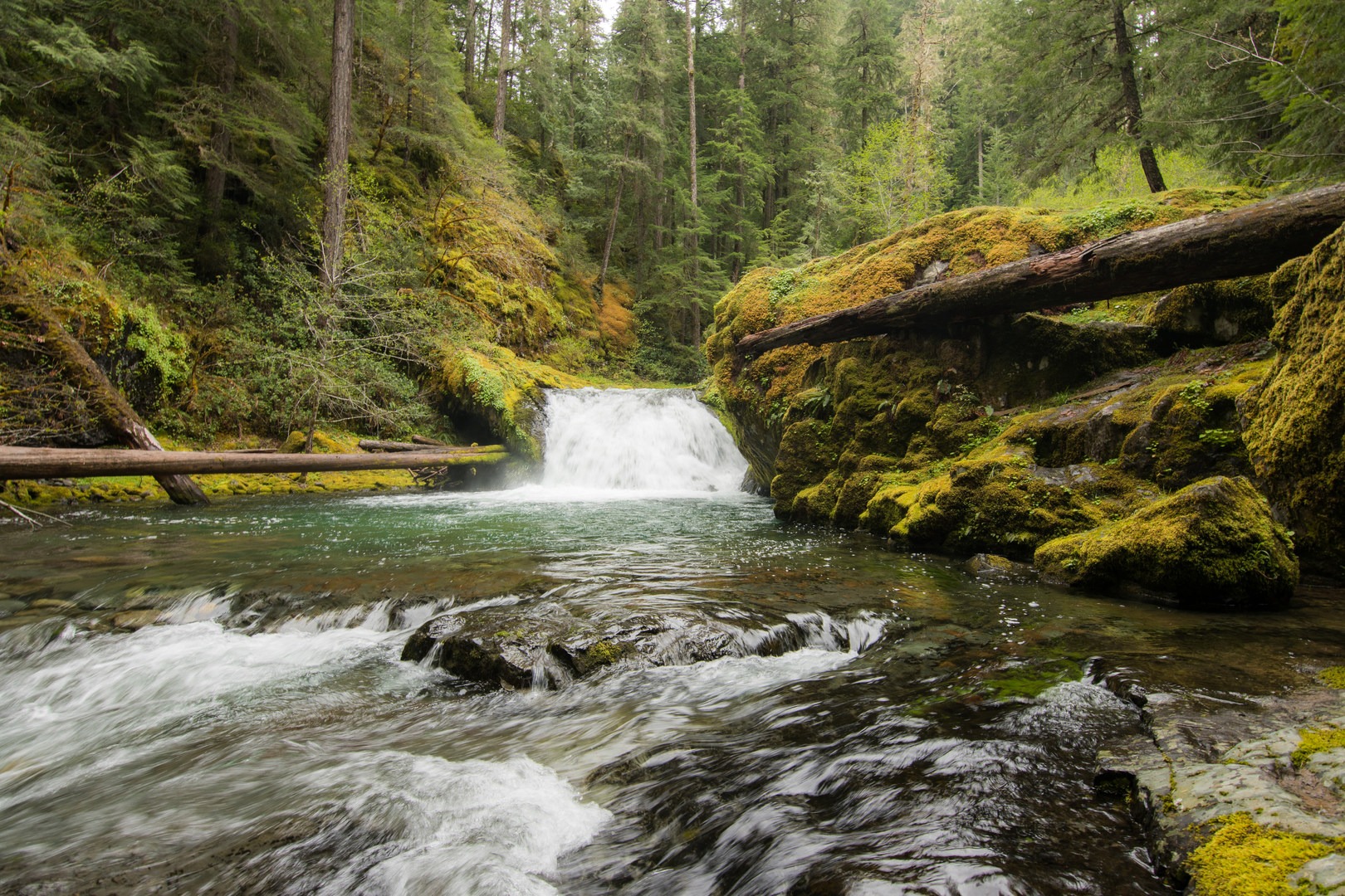 Evergreen Falls + Blue Hole Falls 