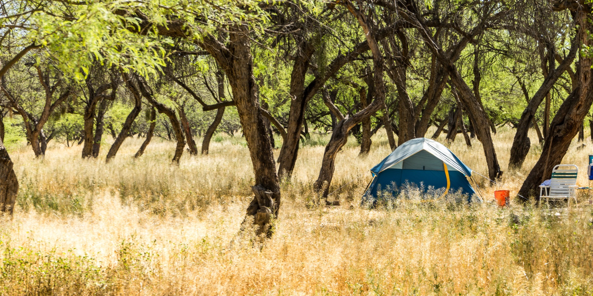 Coon Bluff Campground | Outdoor Project