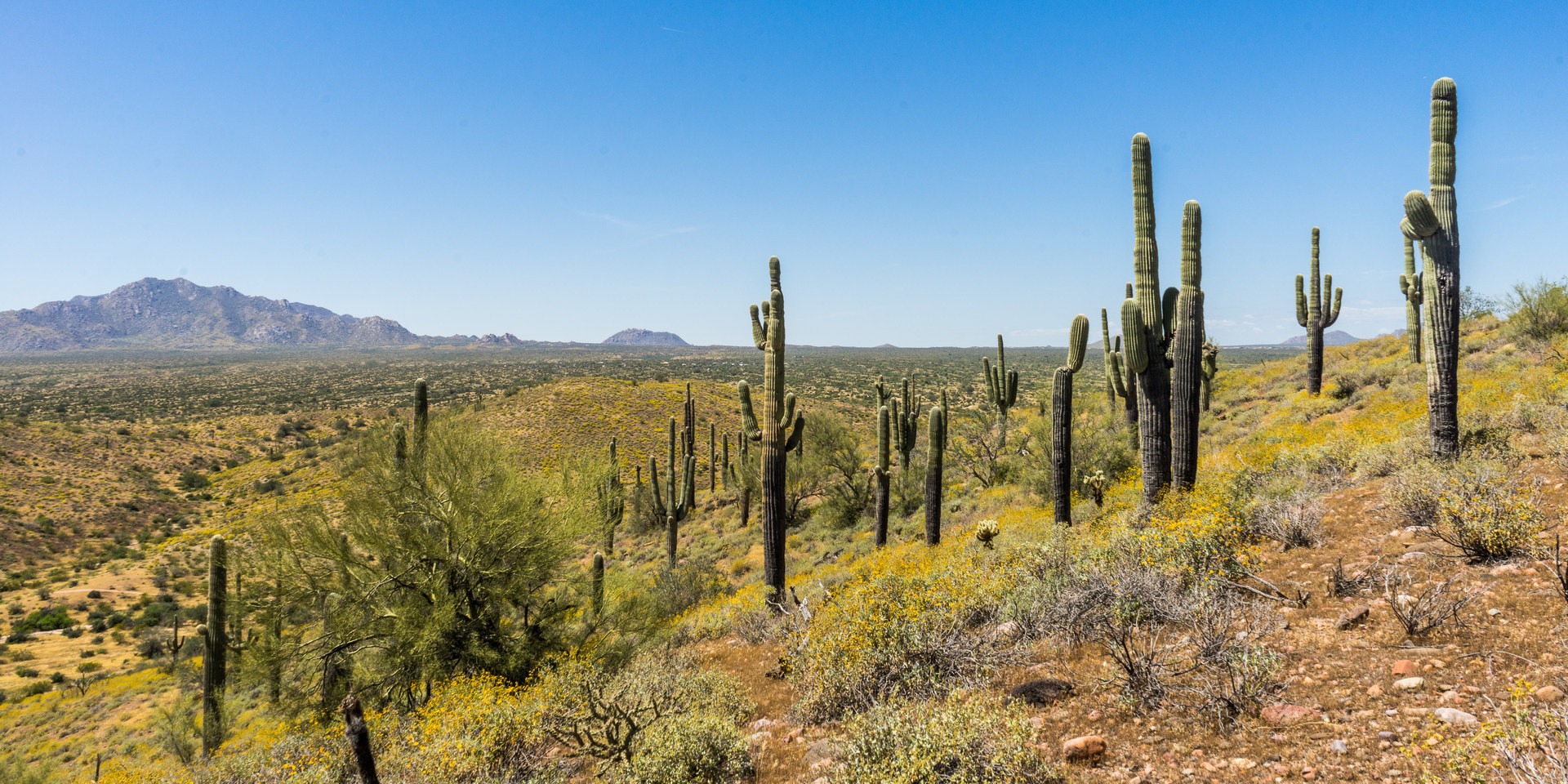 Scenic Trail | Outdoor Project