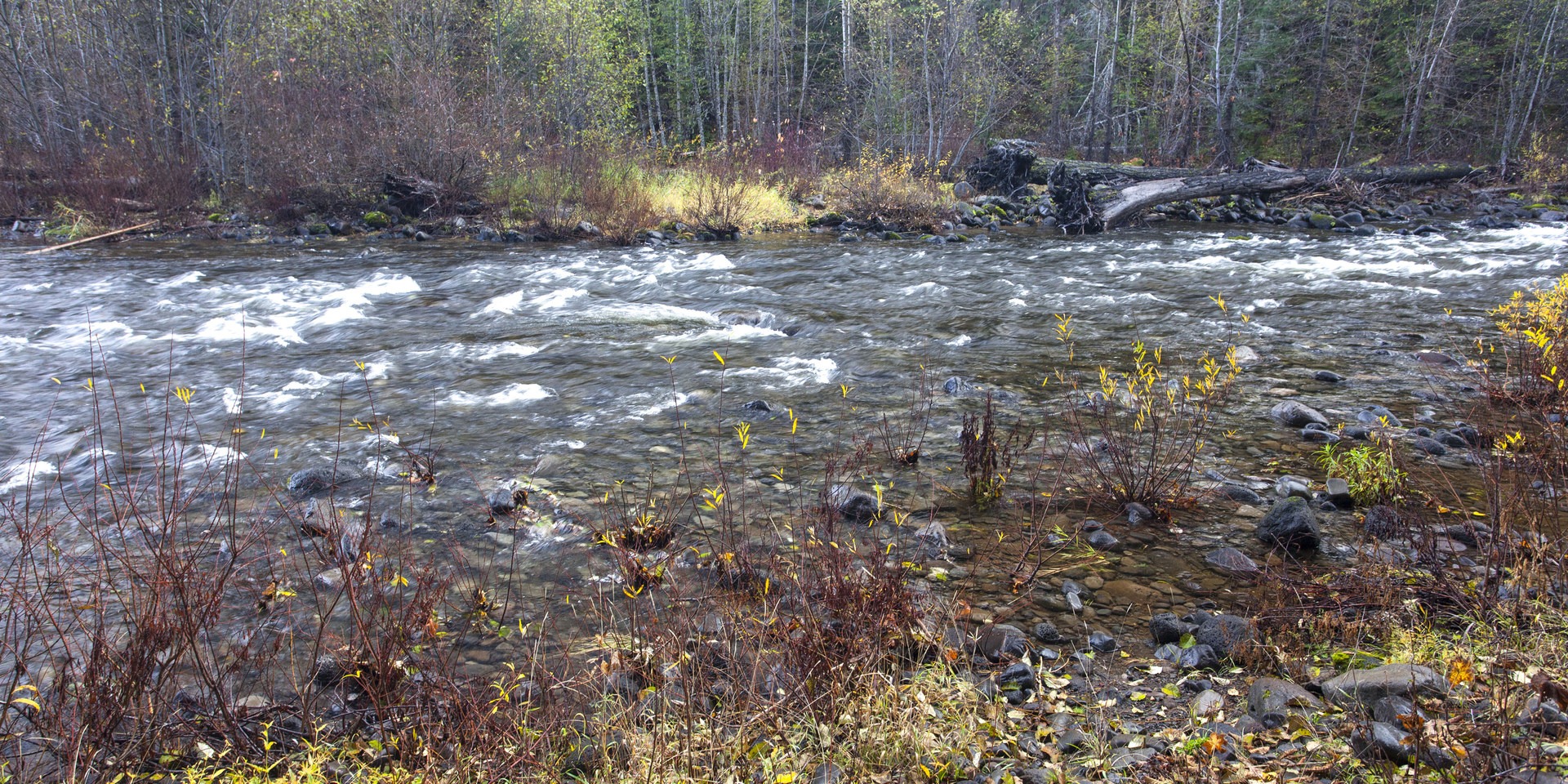 Trout Lake Creek Campground Outdoor Project