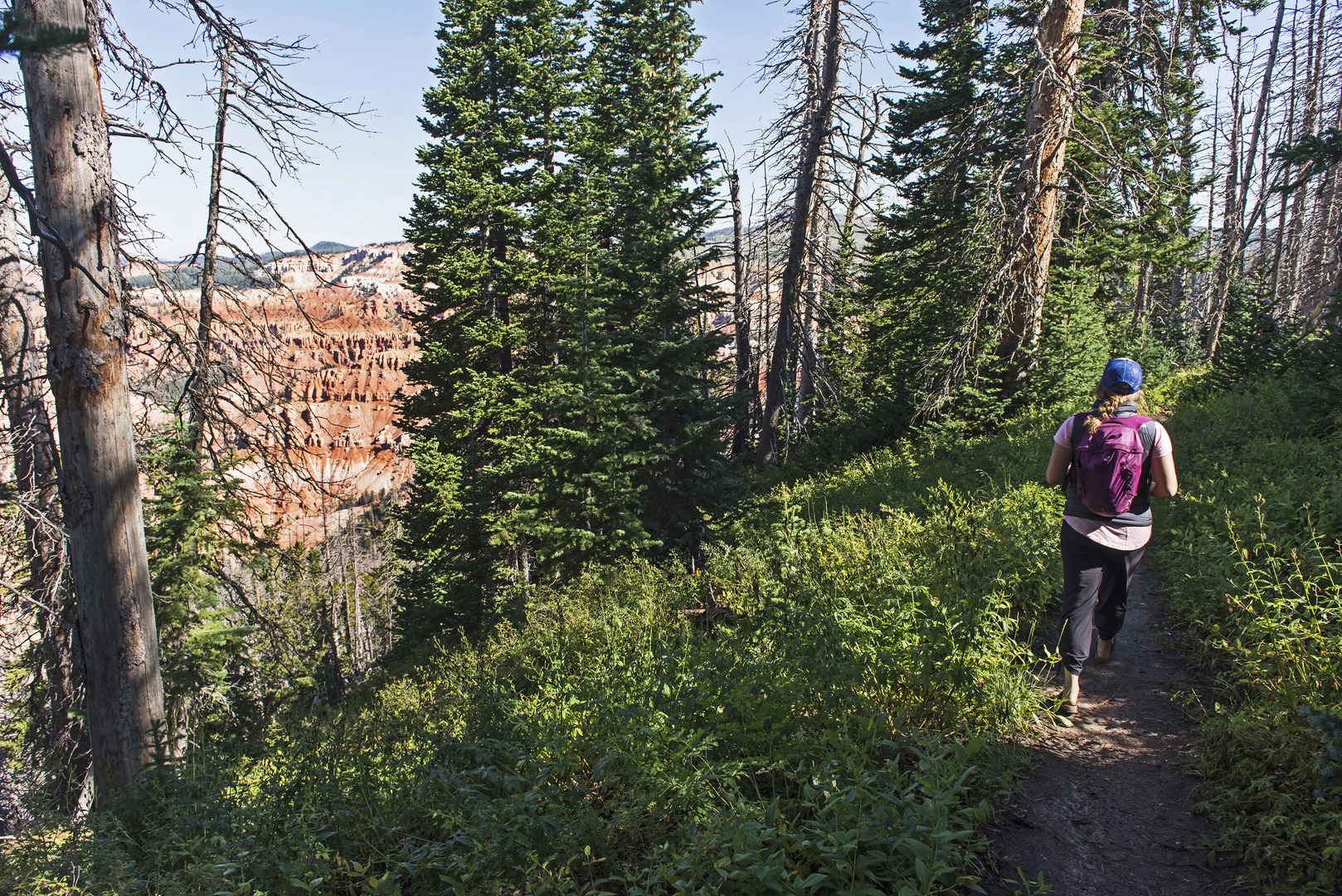 Chessman Loop Trail | Outdoor Project