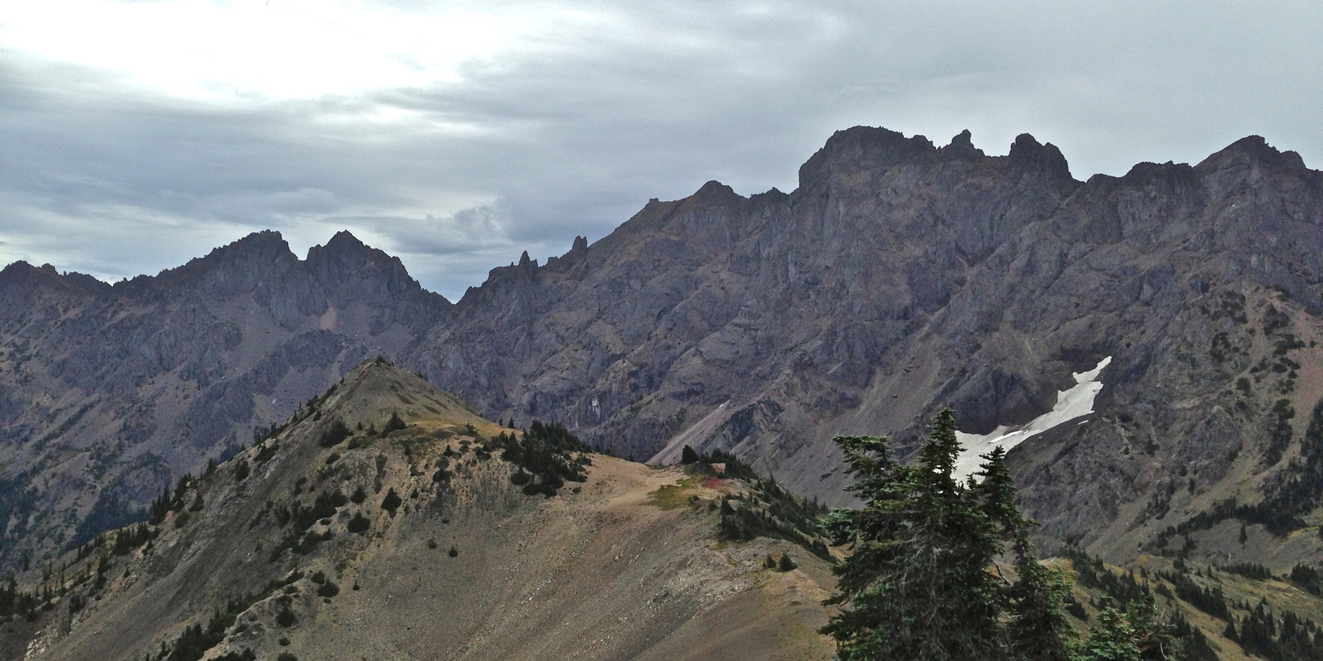 Constance Pass + Home Lake via Upper Dungeness Trail | Outdoor Project