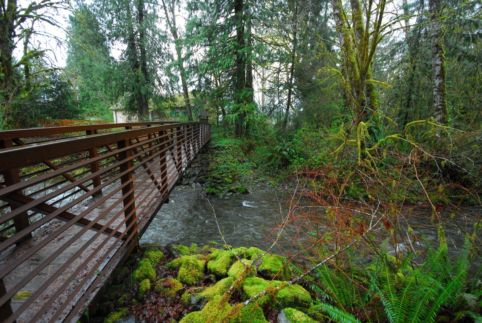 Lake Quinault, Falls Creek Campground | Outdoor Project