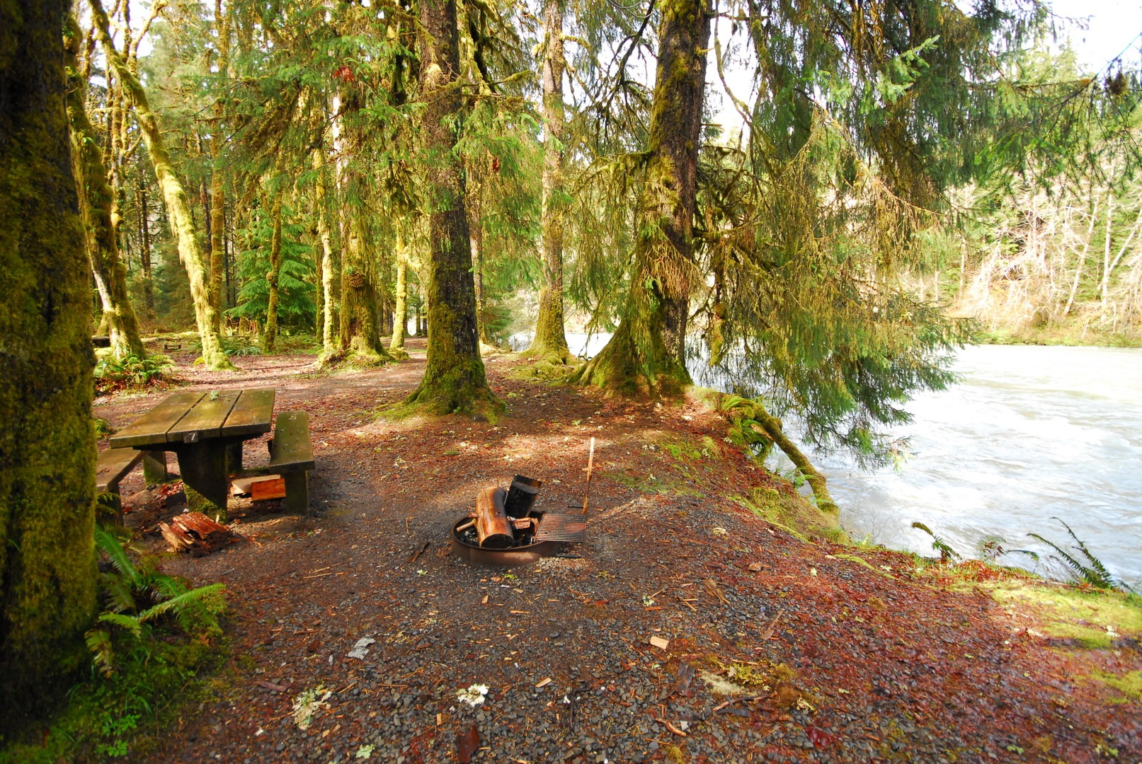 Queets Campground Outdoor Project