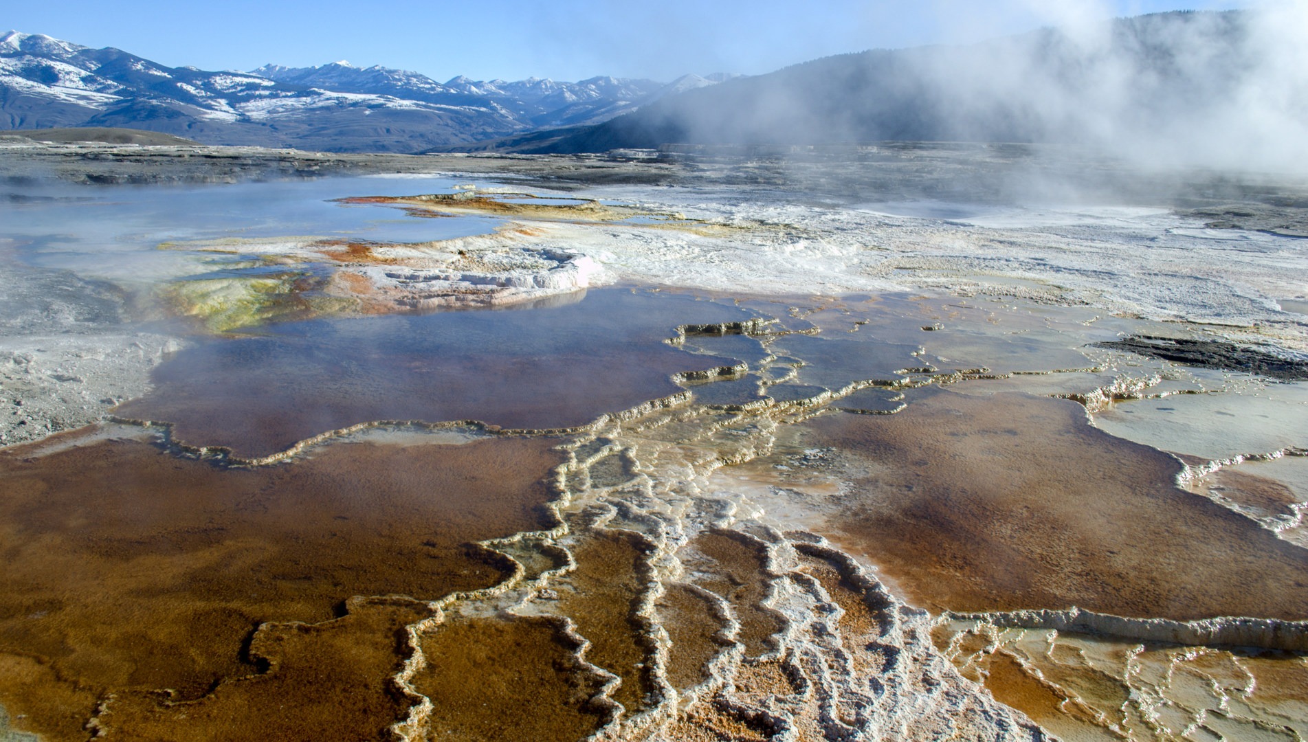 Mammoth Hot Springs Outdoor Project