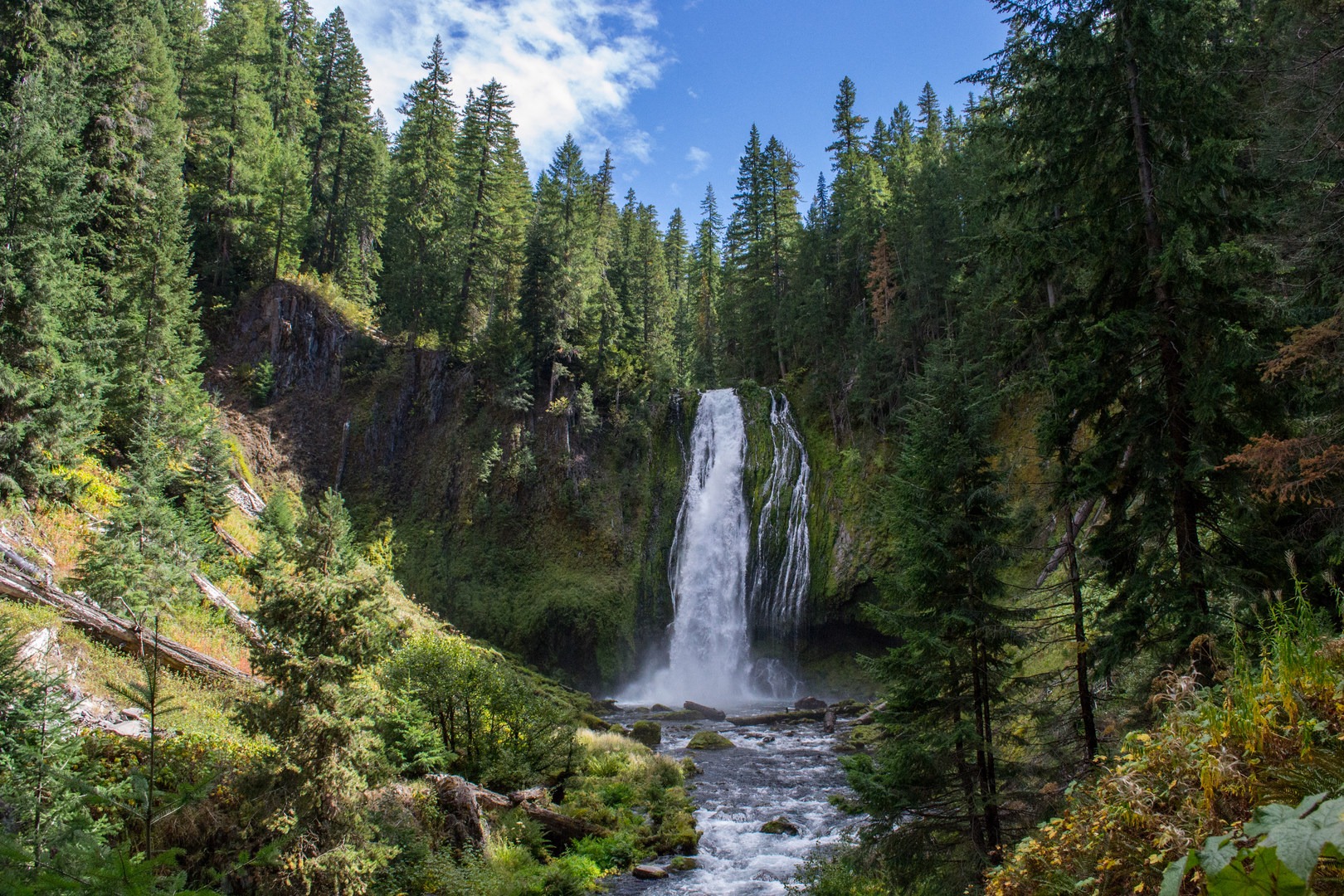 Lemolo Falls via the Lemolo Falls Trail Outdoor Project