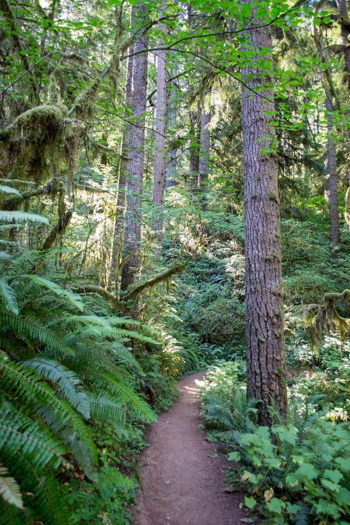 Goodman Creek Trail | Outdoor Project