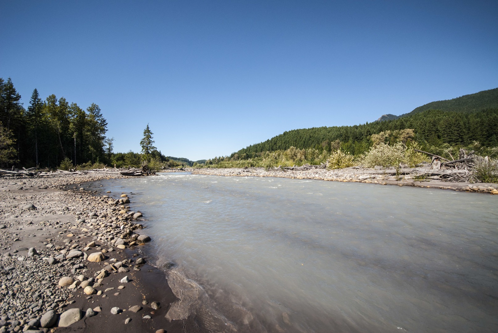 Nisqually River Campsite | Outdoor Project