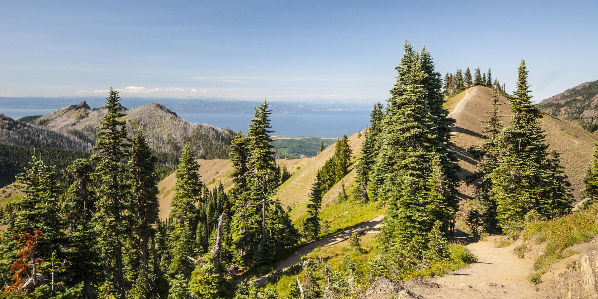 Klahhane ridge 2024 trail map