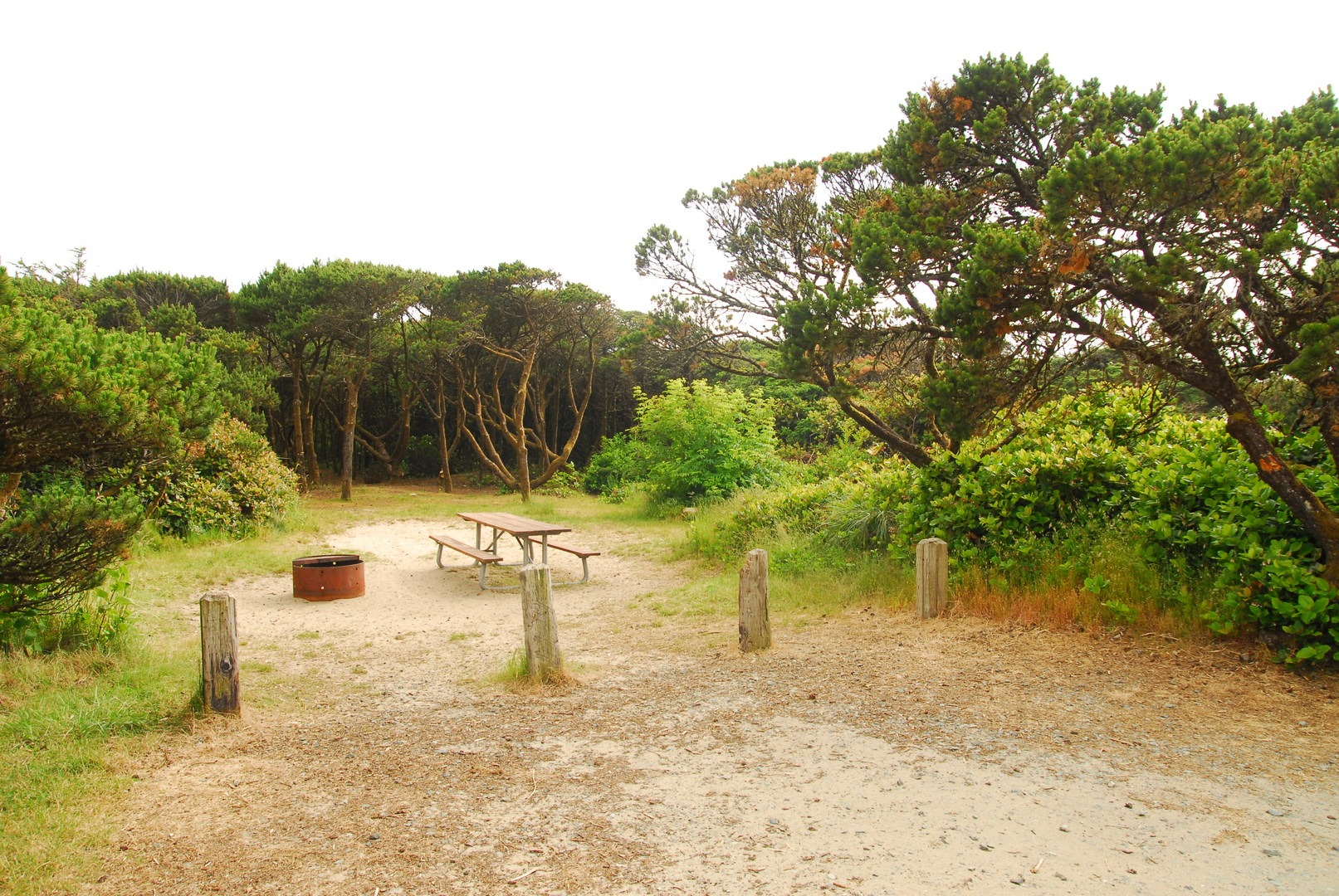 Barview jetty campground new arrivals