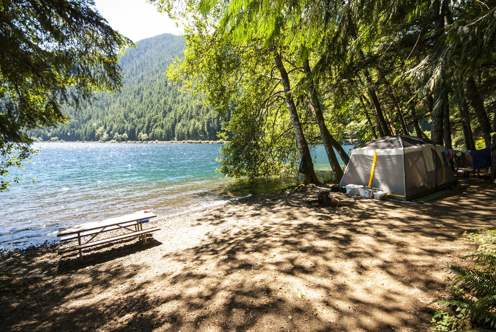 Fairholme campground store