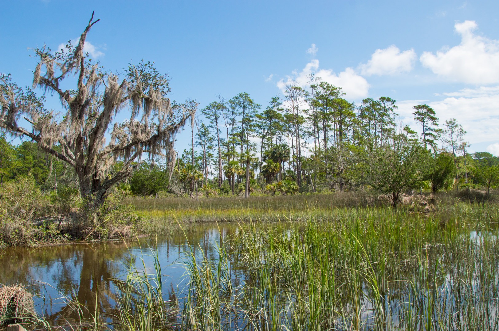 Sandpiper Loop Nature Trail Outdoor Project