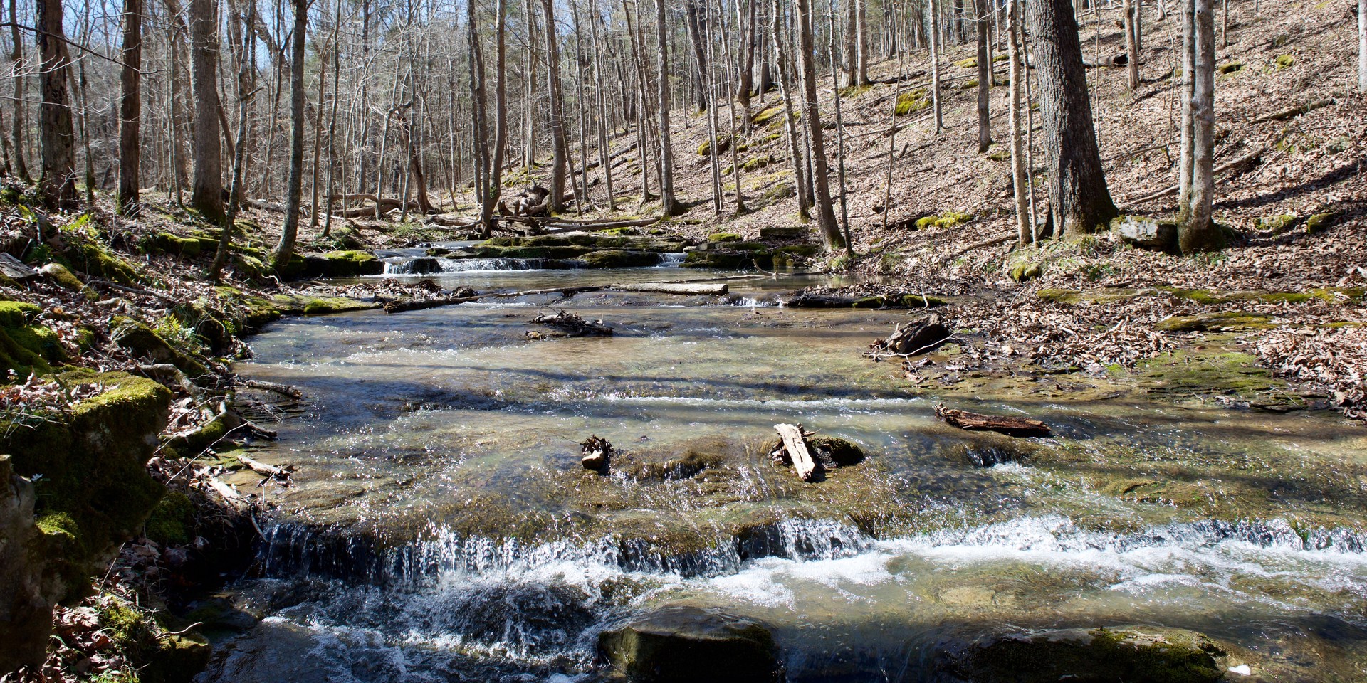 montgomery bell mountain bike trail