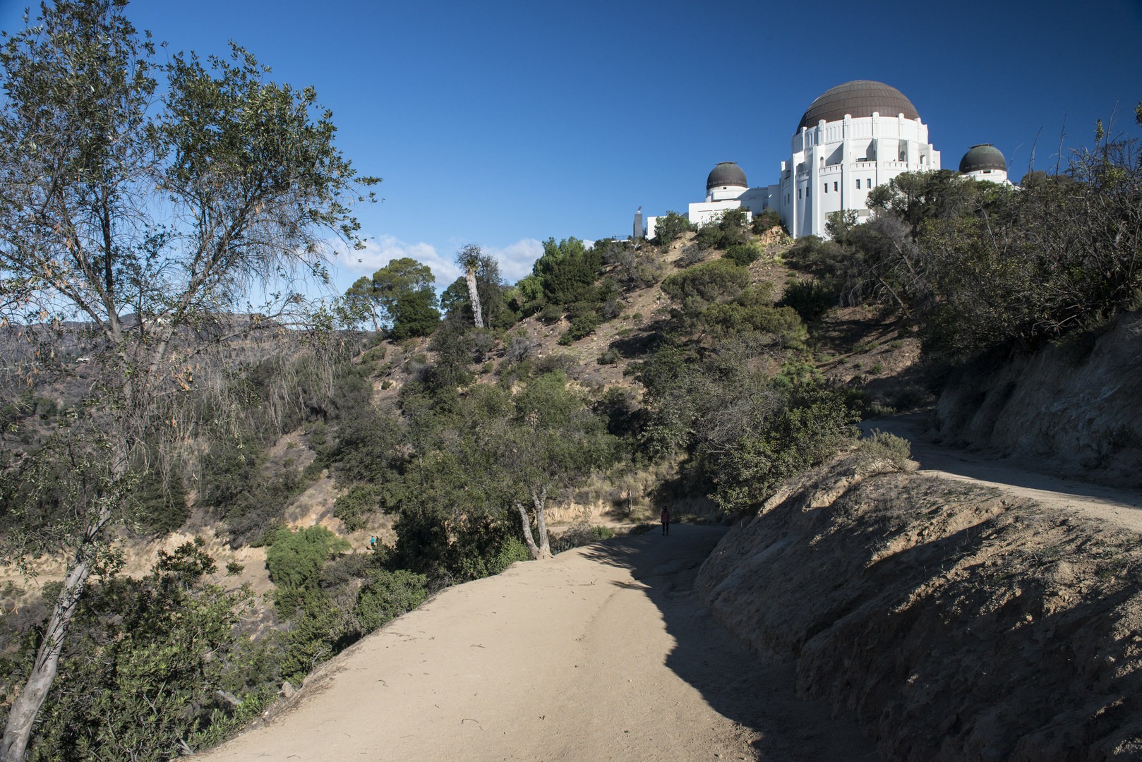 Griffith Observatory Hike Via East Observatory Trail Outdoor Project   Dsc 2220 