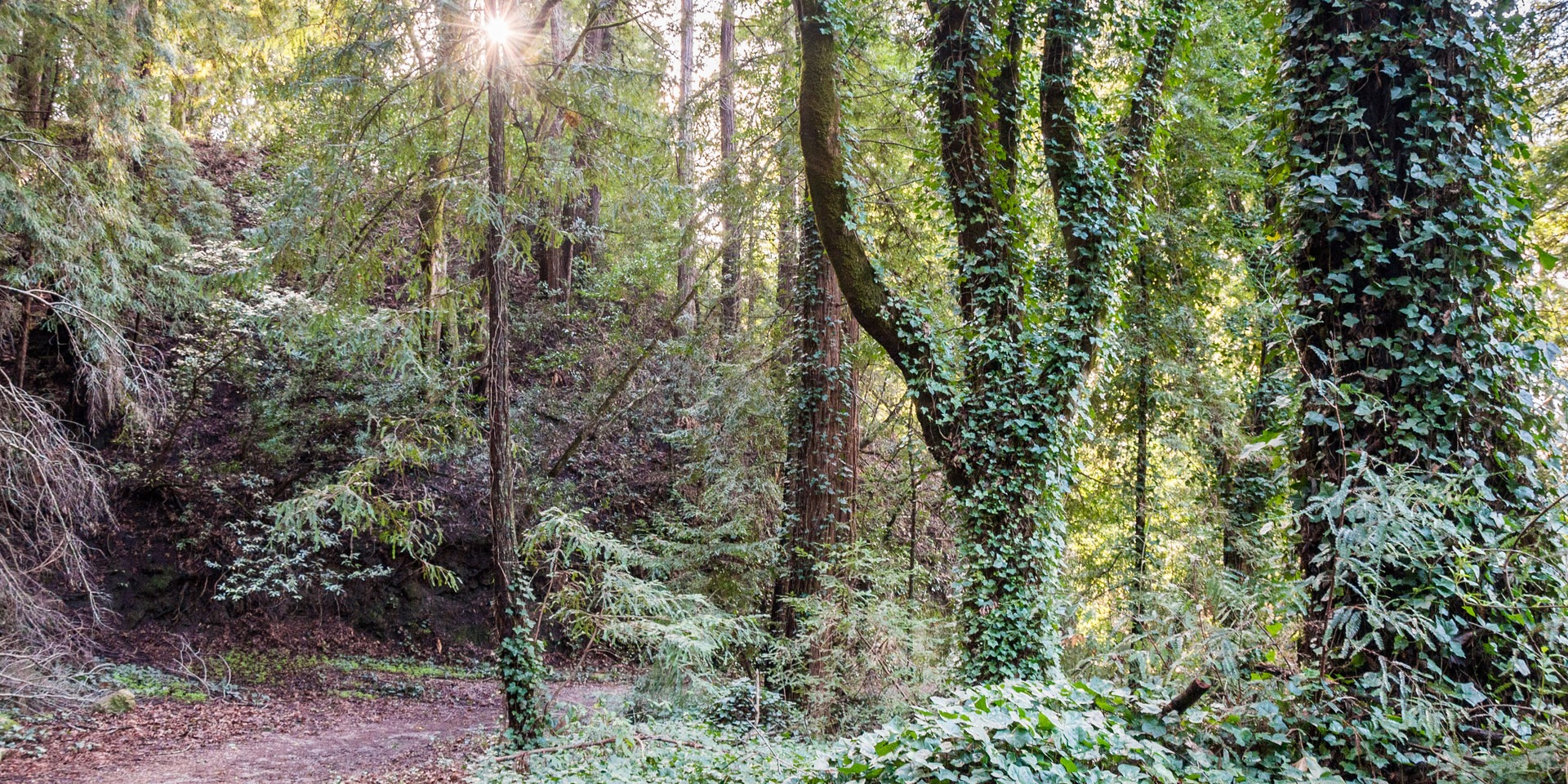 Enchanted Trail Hike Outdoor Project