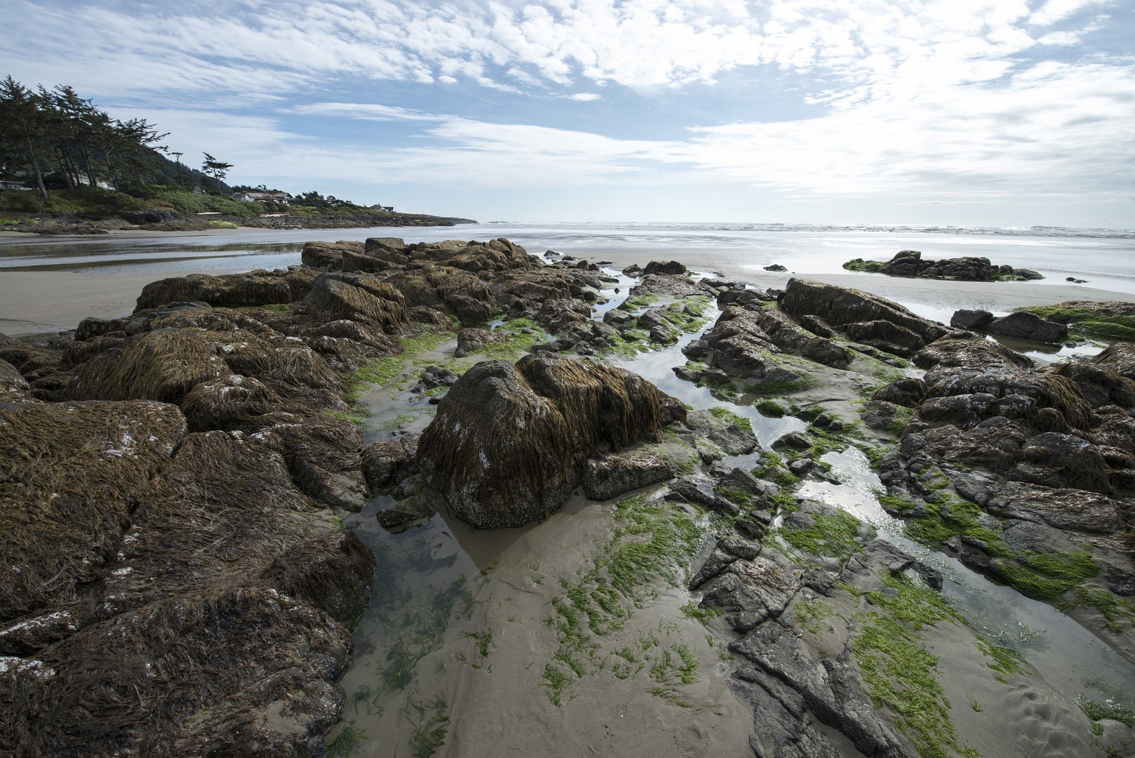 Oregon’s Coastal Gem: Yachats Ocean Road State Natural Site – Where The Pacific Roars And The Soul Soars